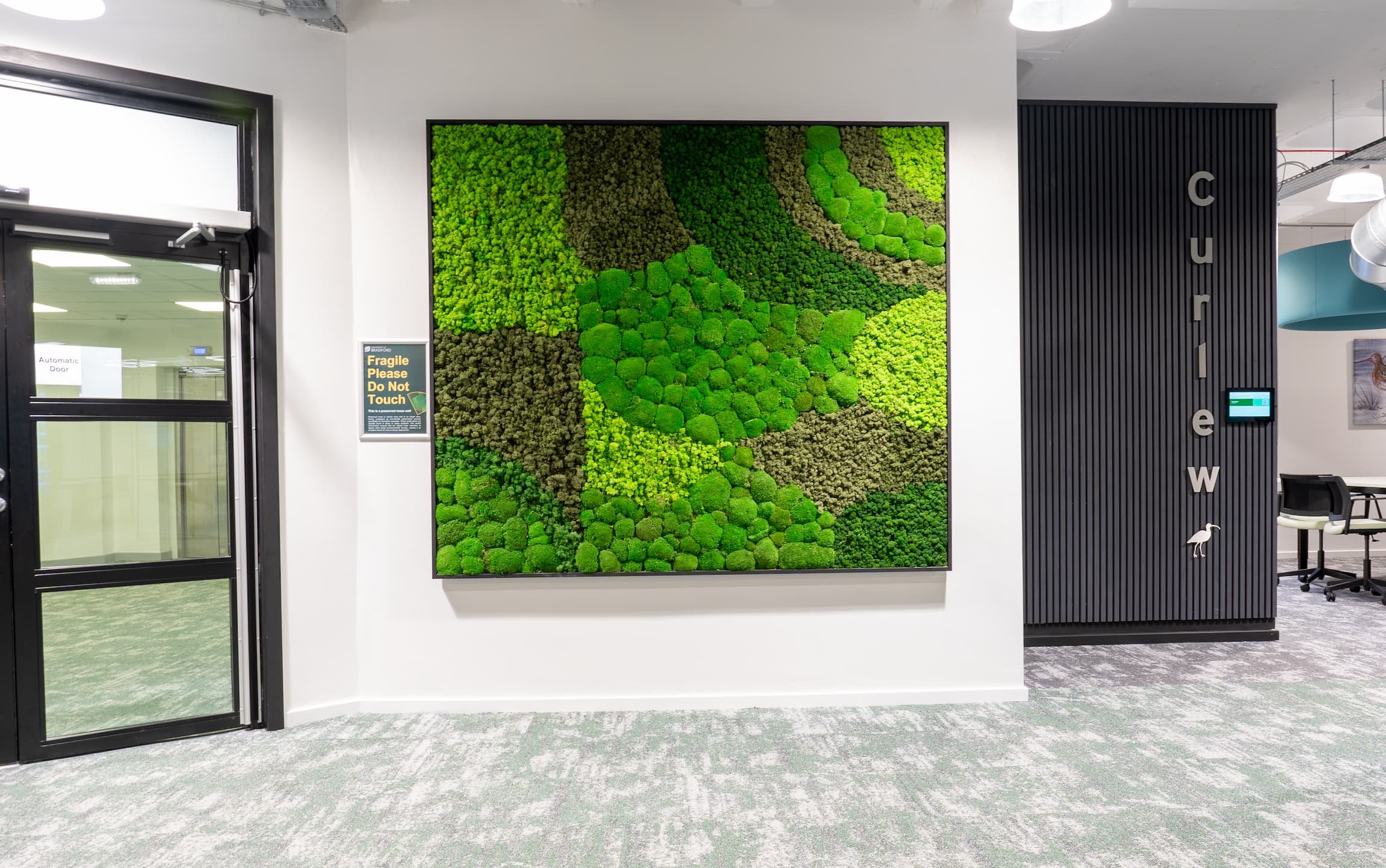 Indoor office wall decorated with a large framed green moss wall art and the word "Curiew" spelled vertically on a black slatted wall panel with a small bird illustration below.