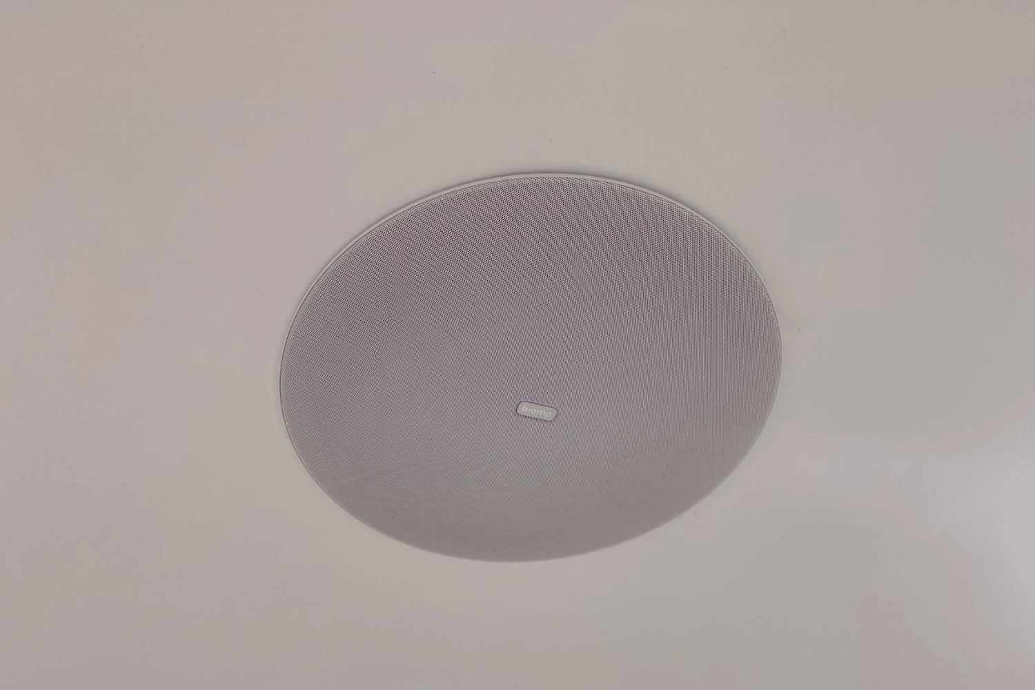 igpandi (3).png