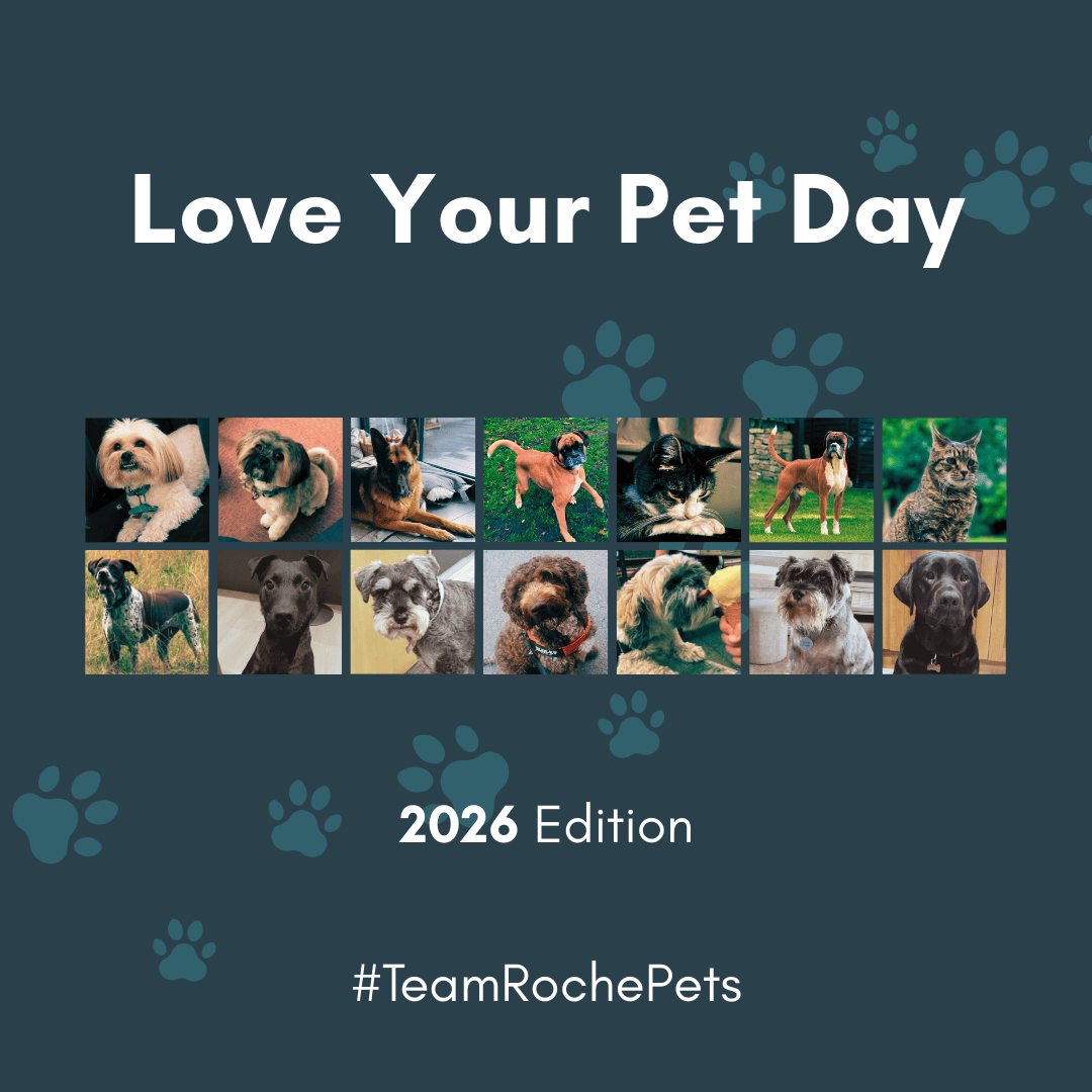 Love Your Pet Day 2026