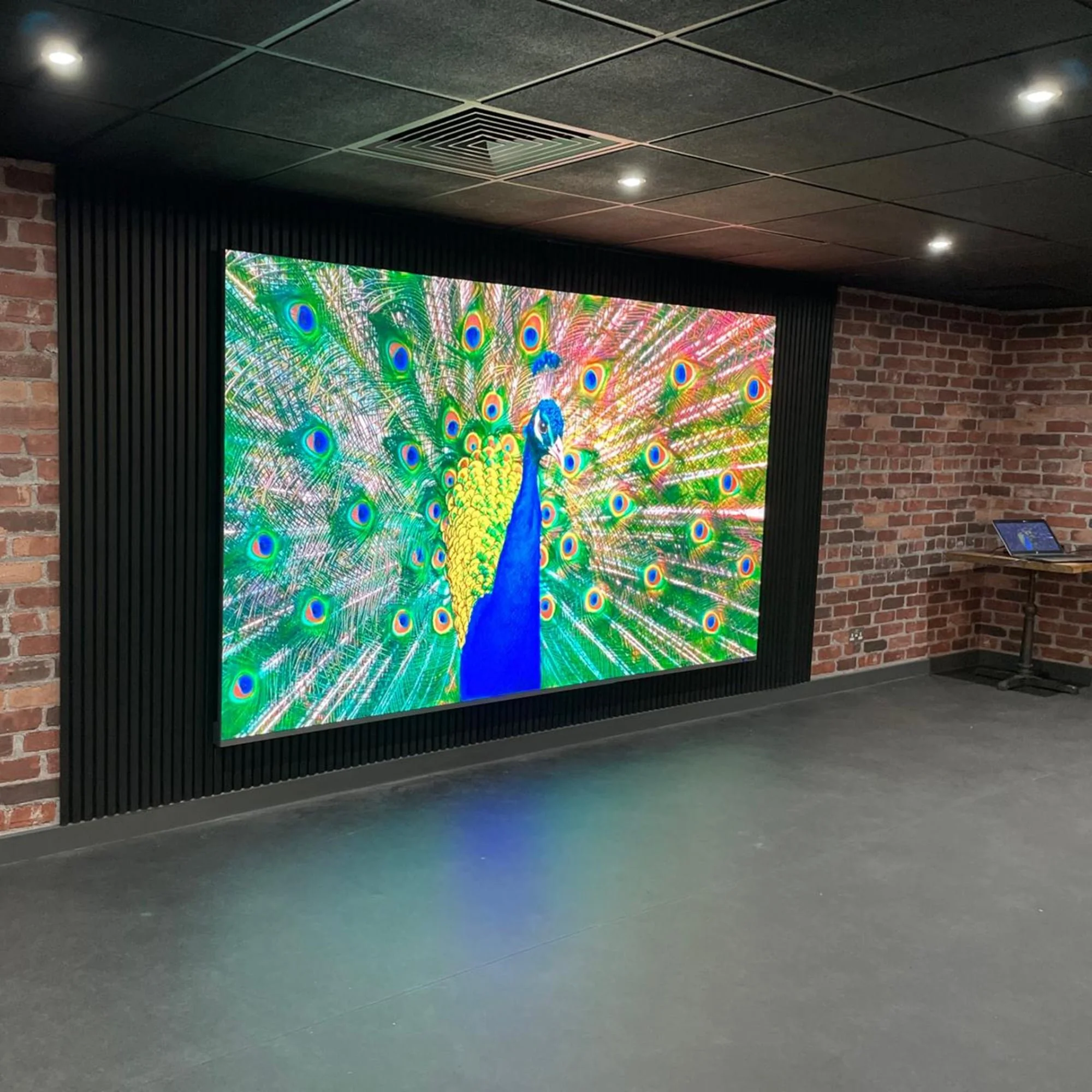 Large digital display of a colorful peacock with feathers spread out, mounted on a black wall in a room with brick walls and dark ceiling.