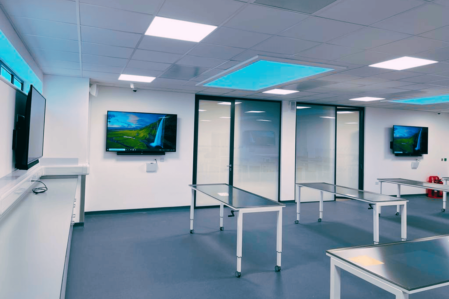 sunderland uni cadaveric 03.png