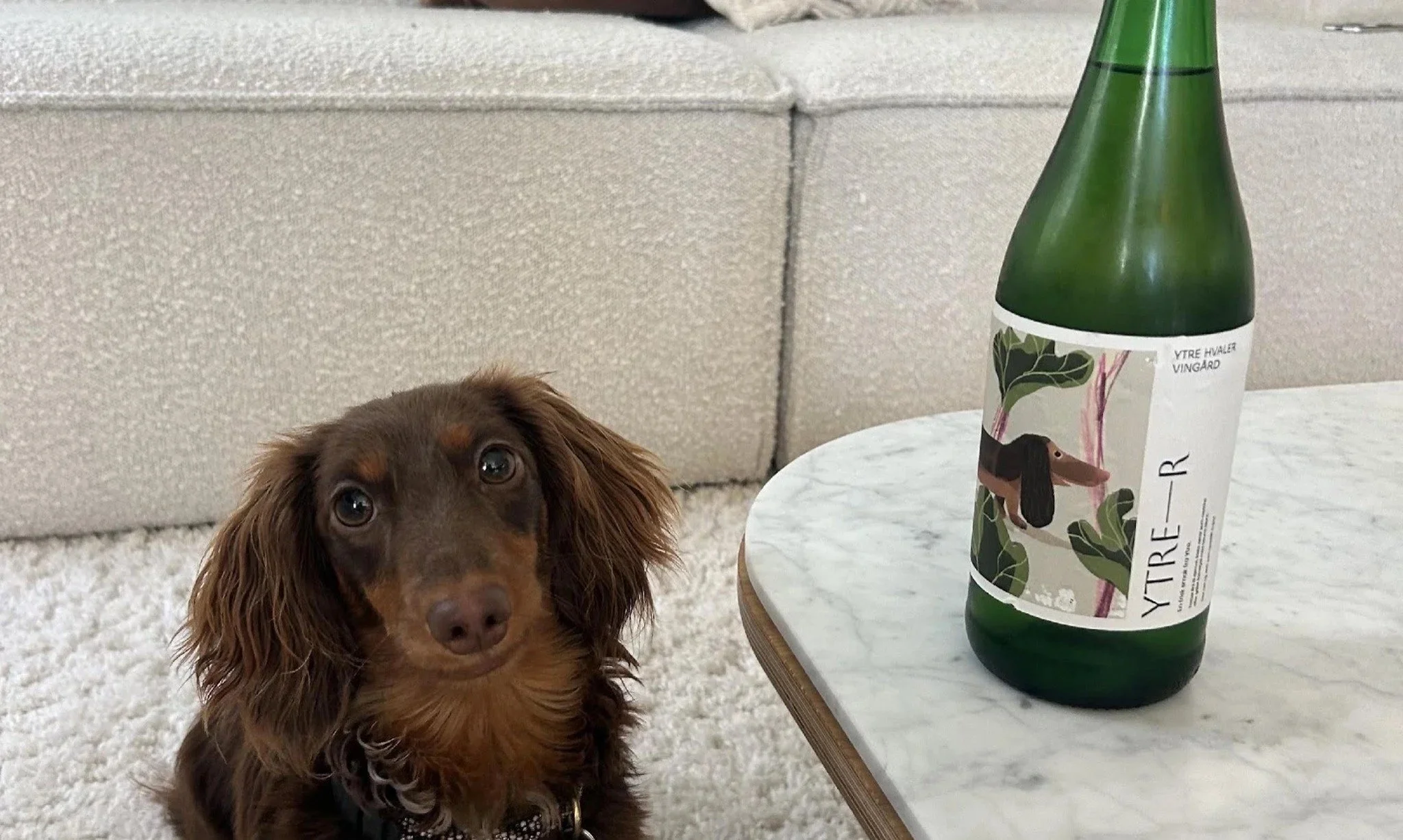 Hvem kommer til Fredrikstad 30/01/26