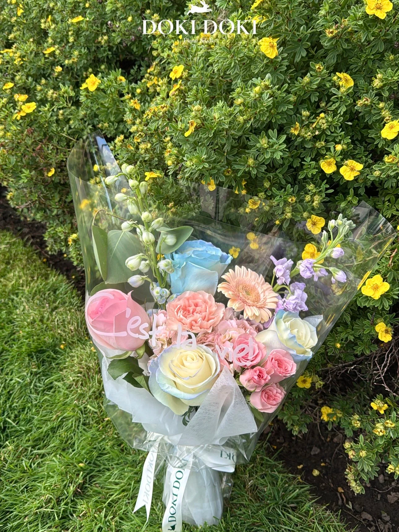 _cgi-bin_mmwebwx-bin_webwxgetmsgimg__%26MsgI