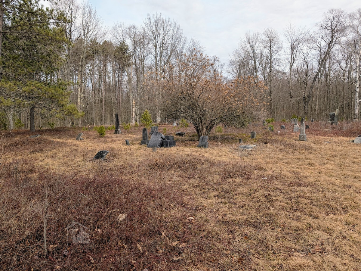 Remnants of a cemetary in the ghost town of Fall Brook, PA, Tioga State Forest