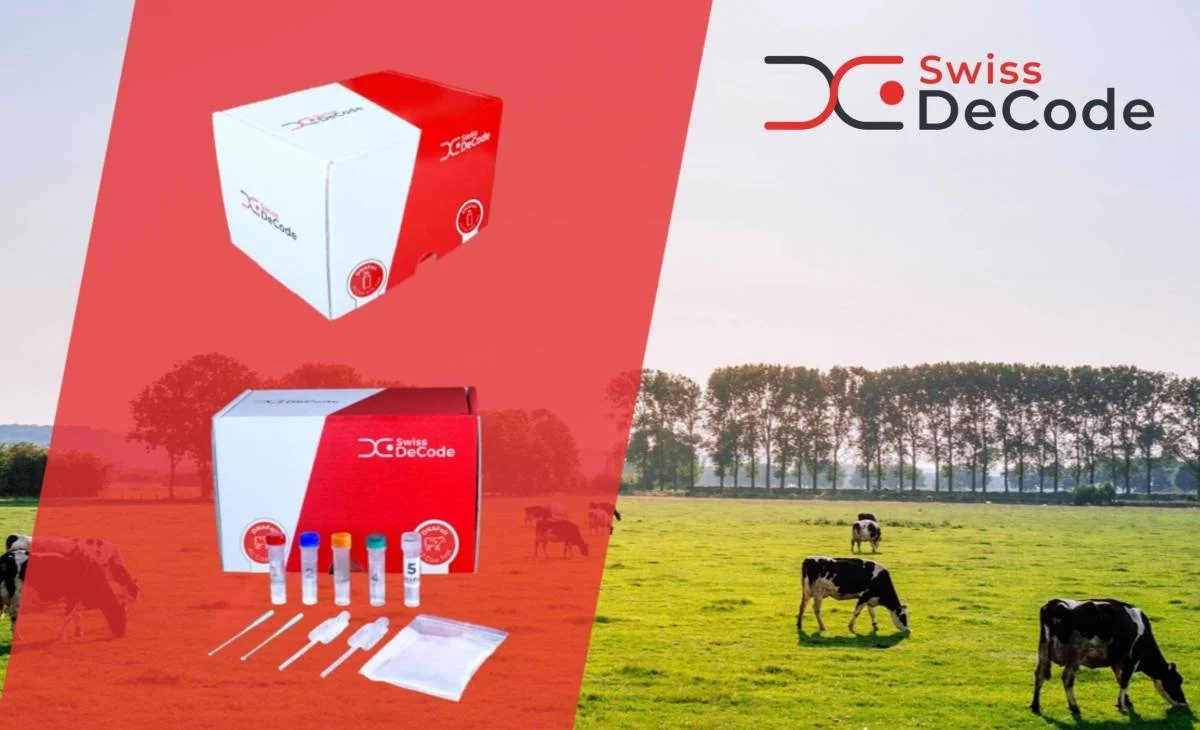 Swiss DeCode
