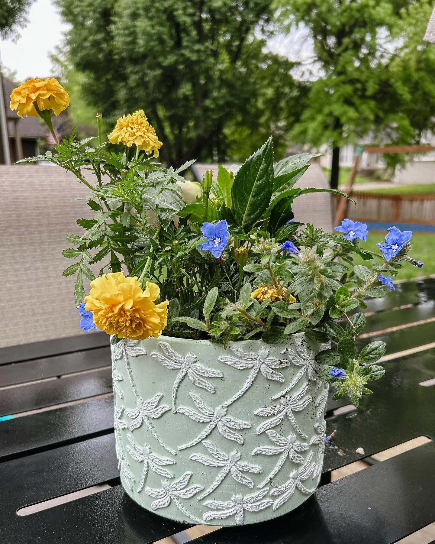 Dax&rsquo;s summer flowers. &hearts;️