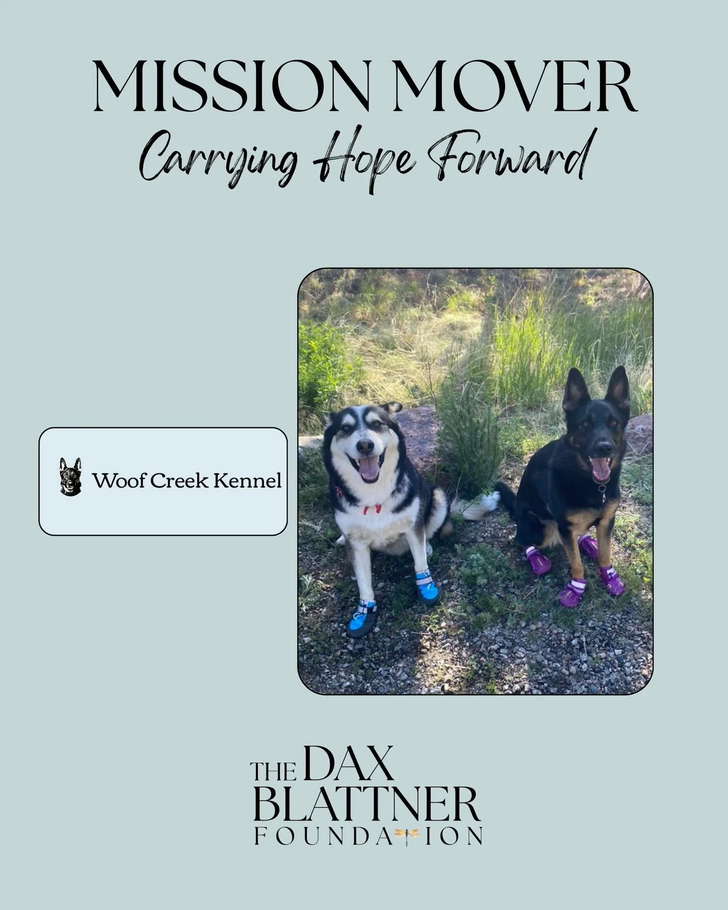 Mission Mover Spotlight 🐾

&bull; At Woof Creek Kennel, it&rsquo;s more than boarding&mdash;it&rsquo;s trust, care, and treating every pet like family.