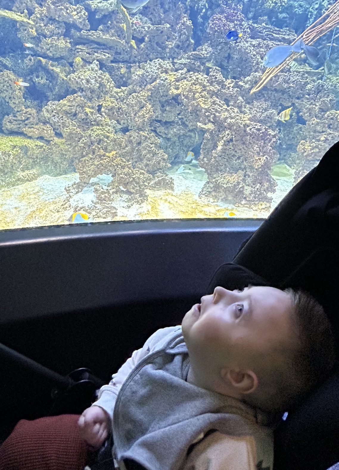 Screenshot 2025-09-22 at 8.29.17 AM.png