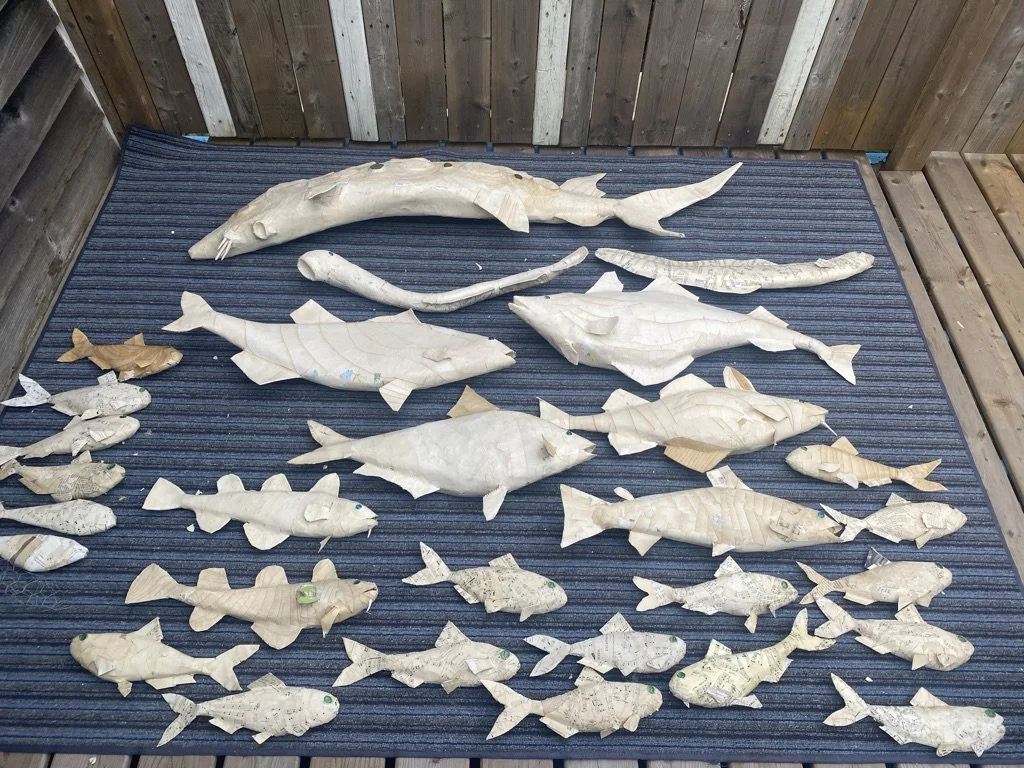  we are all connected, Summit of the Bay ll, commission from the Passamaquody Nation