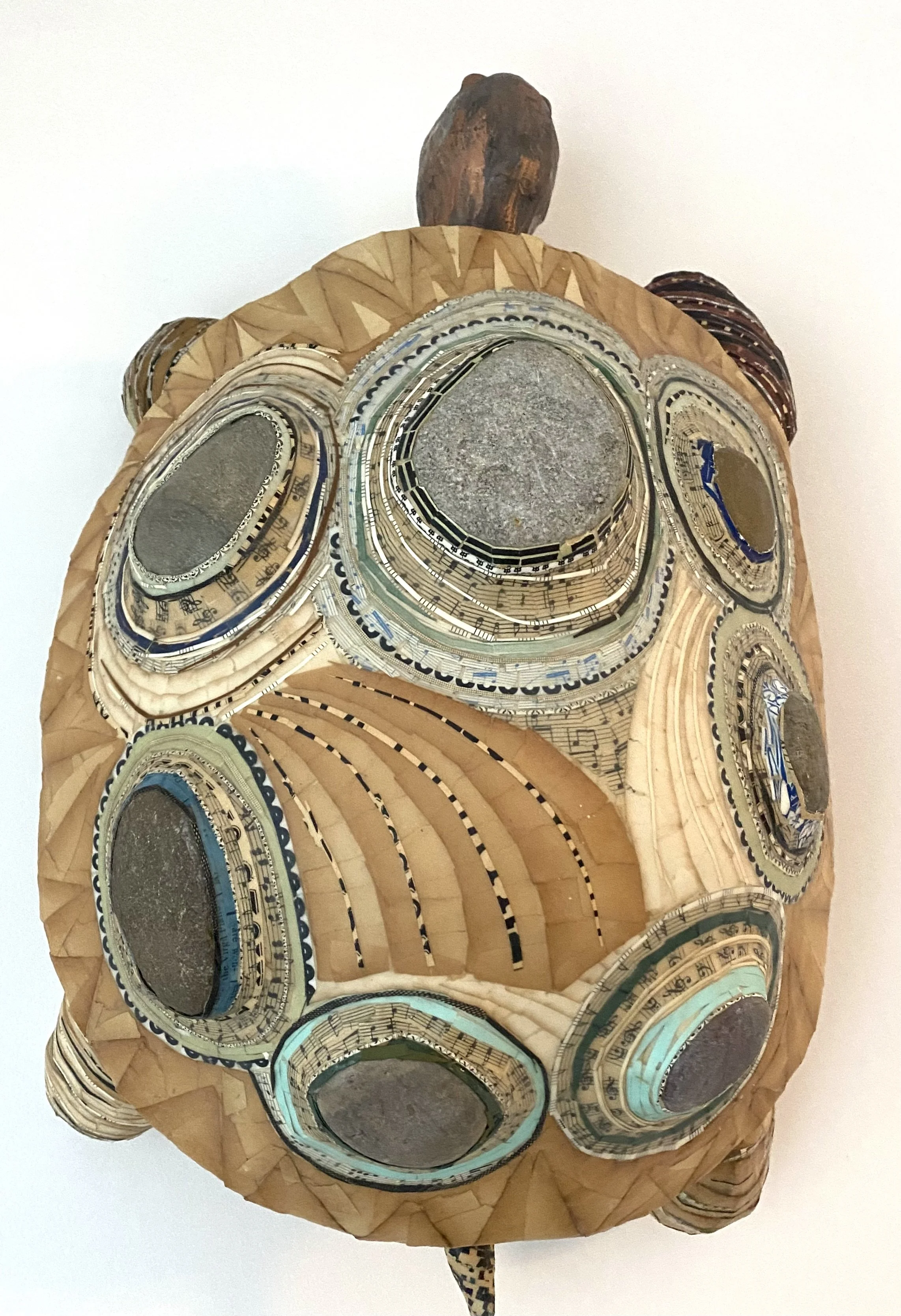 TRex, land tortoise, 2026