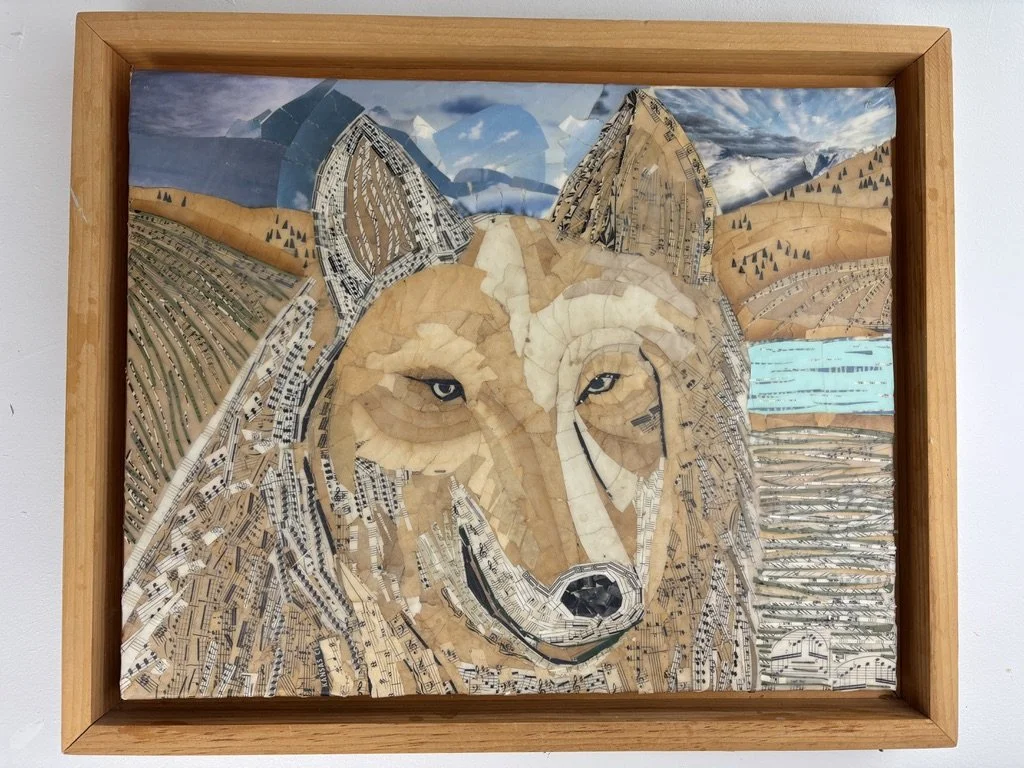 Wolf back from a run