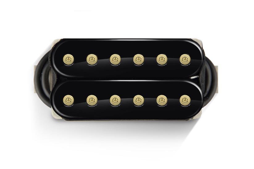 blackbobbins_gold_hex_double.jpg