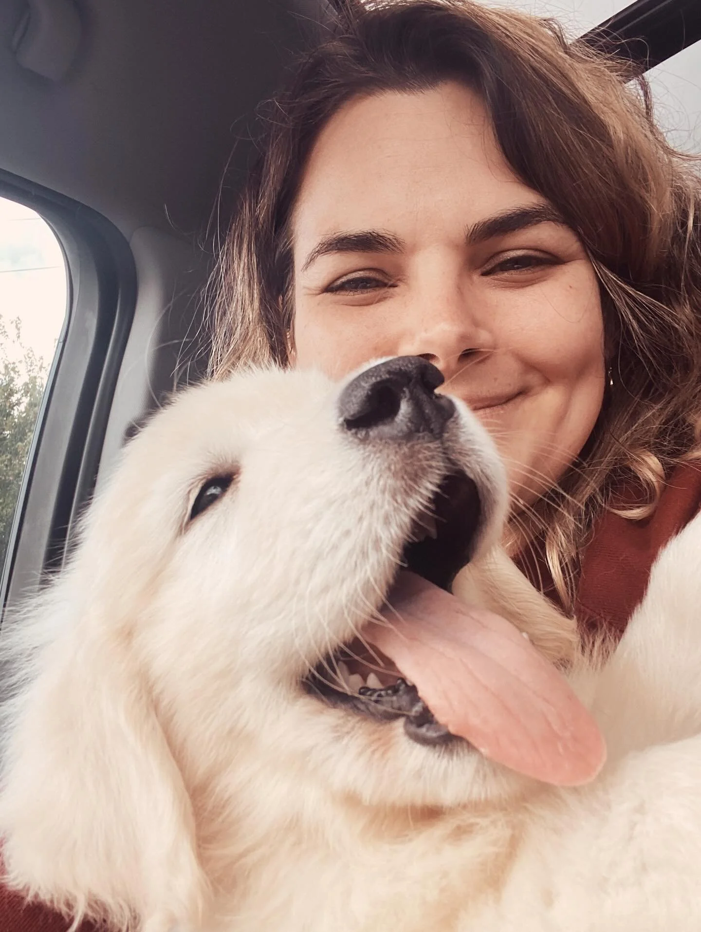 happiest of birthdays to my favorite floof #shadowthegoldenboy