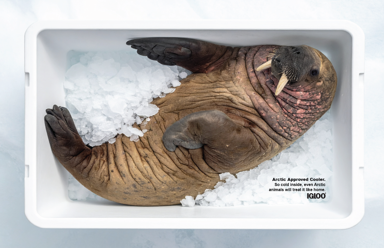 Screenshot 2025-12-15 at 7.48.25 PM.png