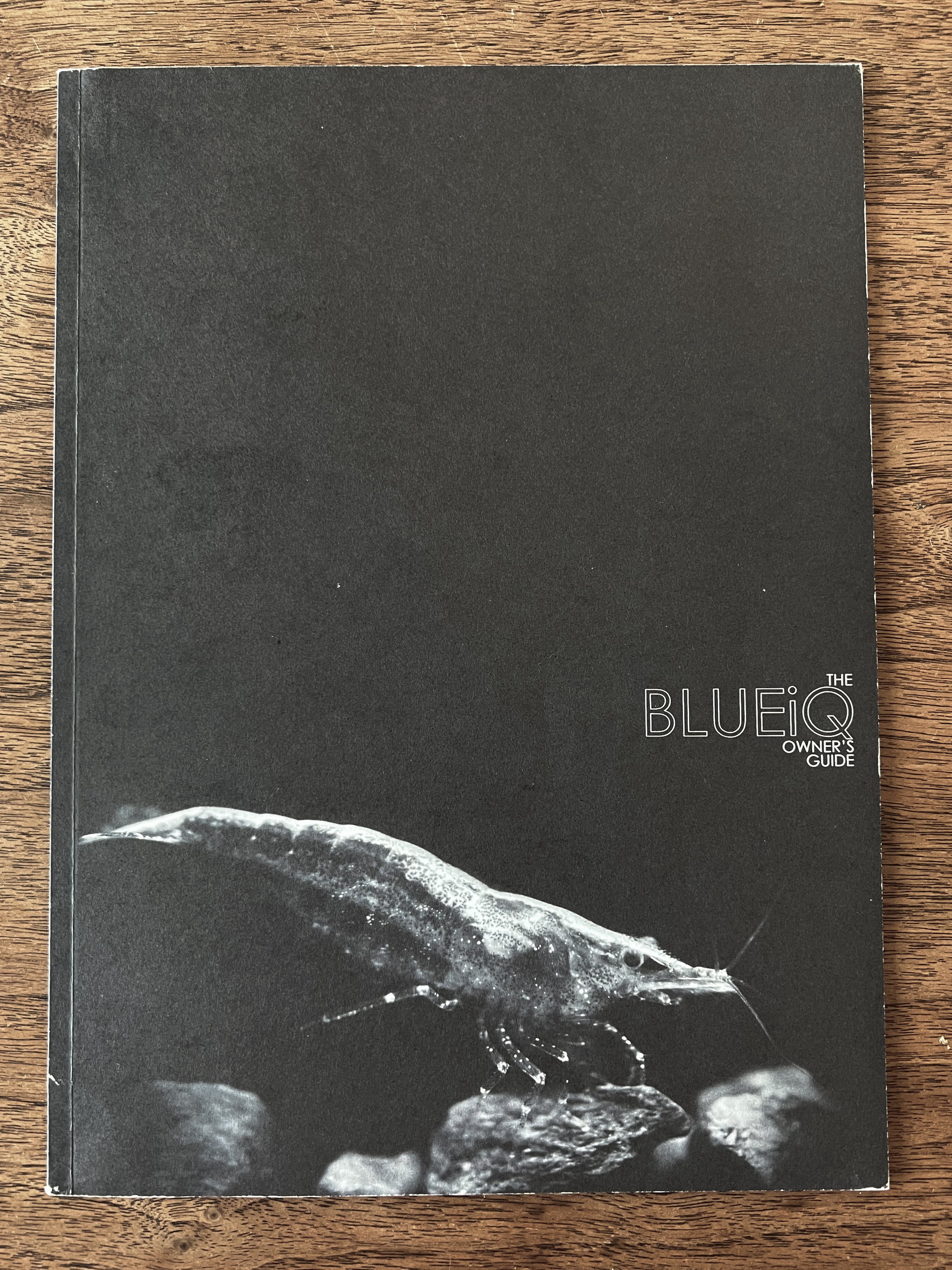 blueiq1.jpg