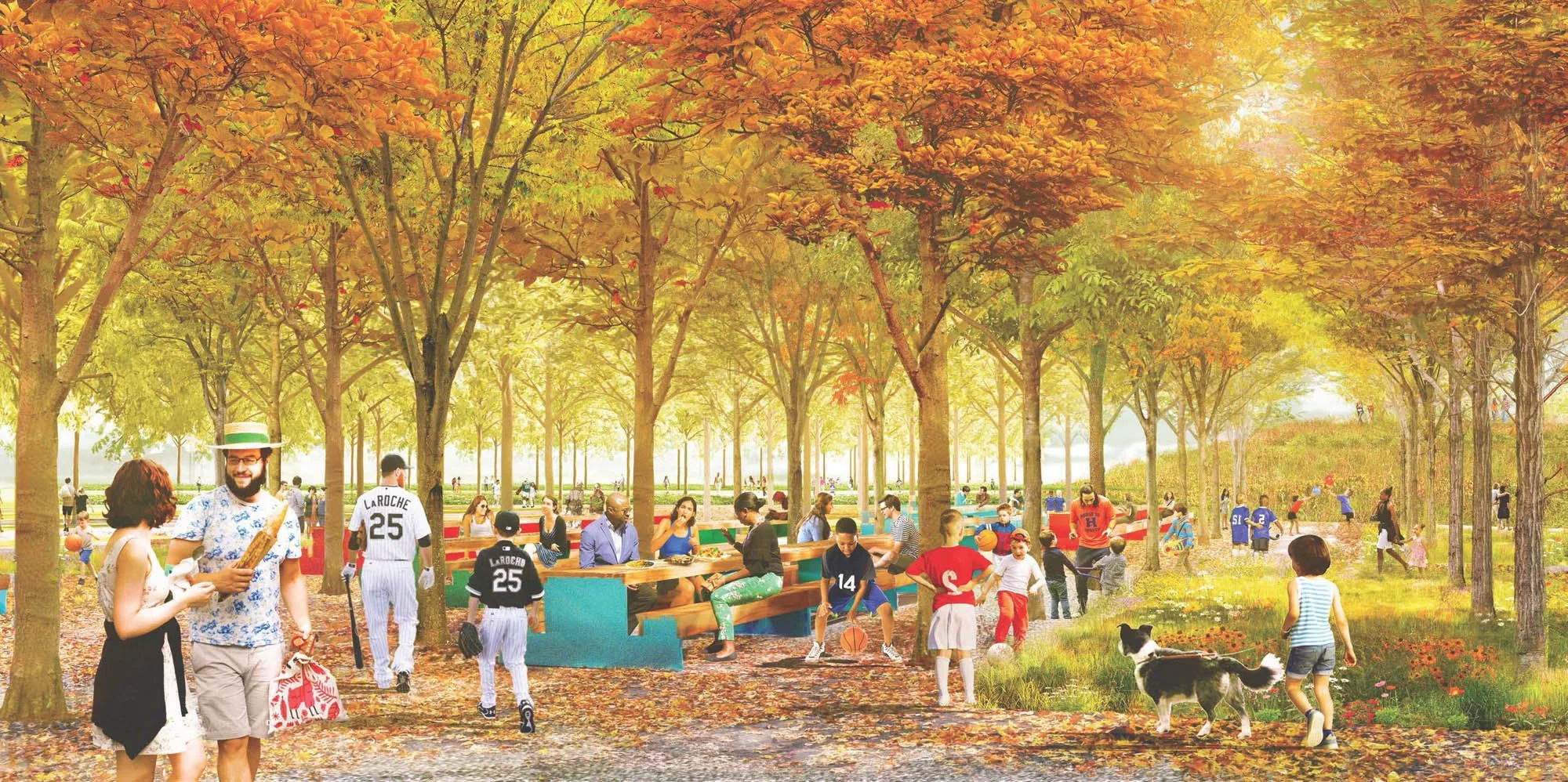 FDR-PattisonFields-picnicgrove.jpg