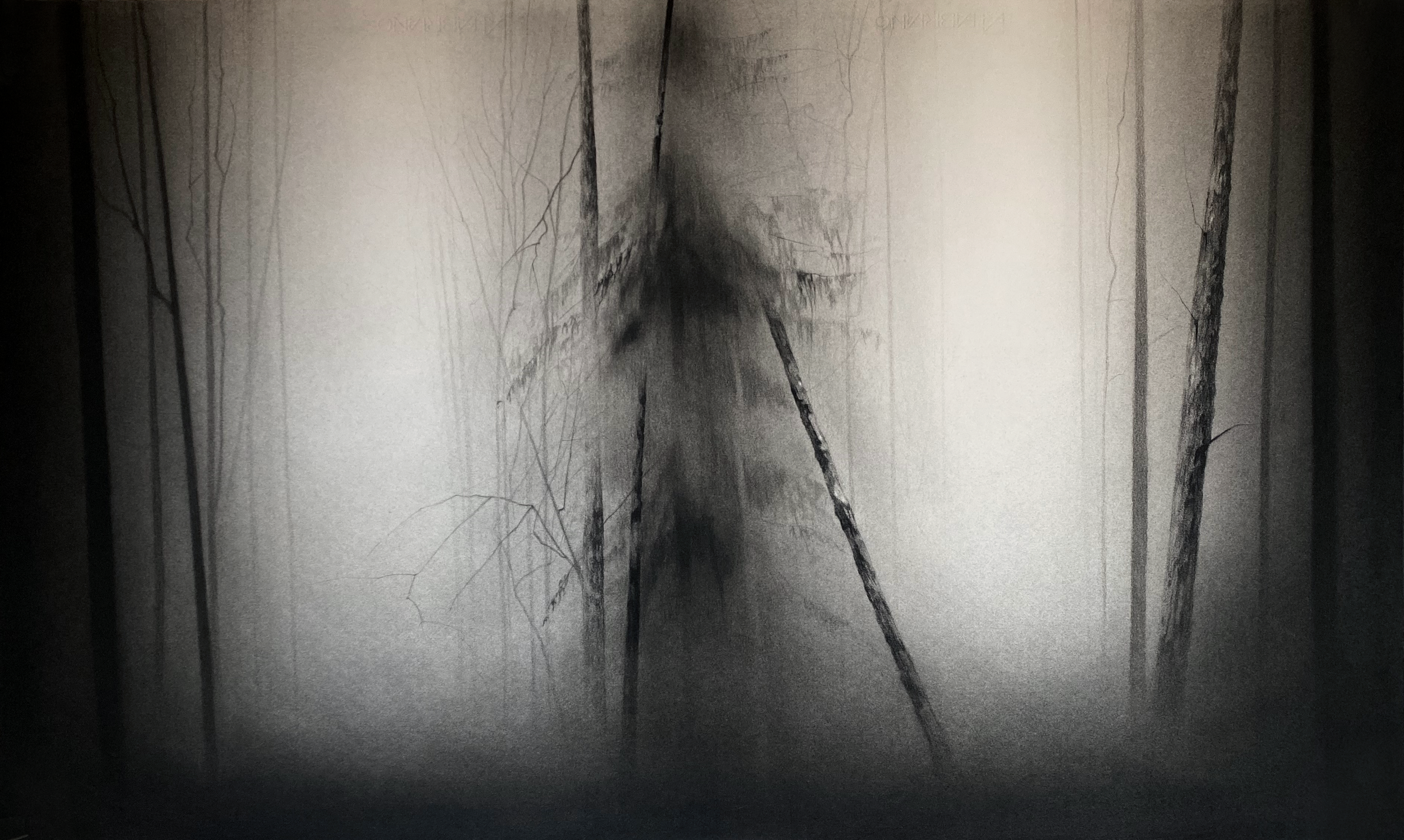 Sin titulo2b, 2023, 100x60cm, charcoal on paper.png