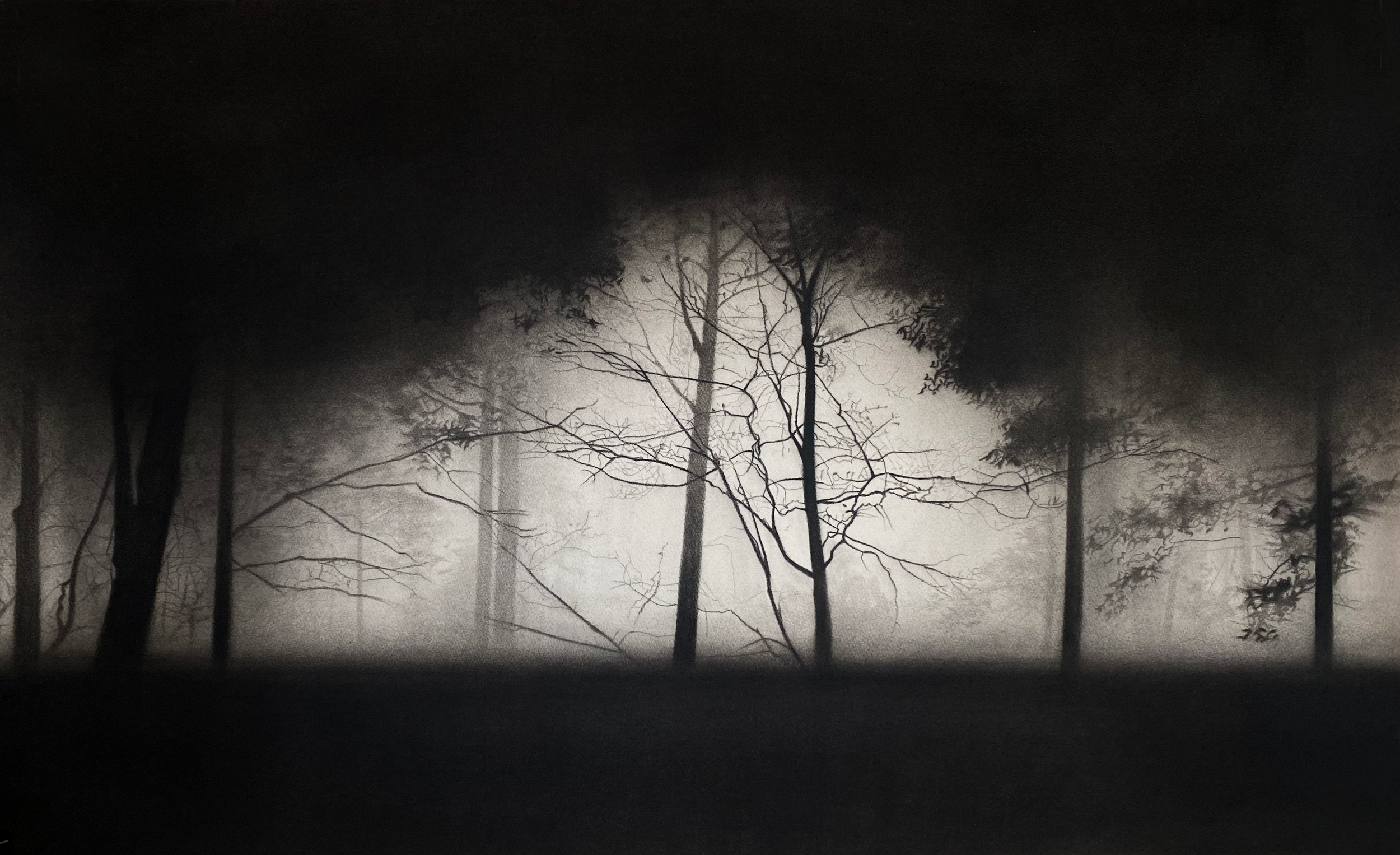 Katarzyna Pacholik, Untitled, 2023, Charcoal on paper, 100x60cm.png