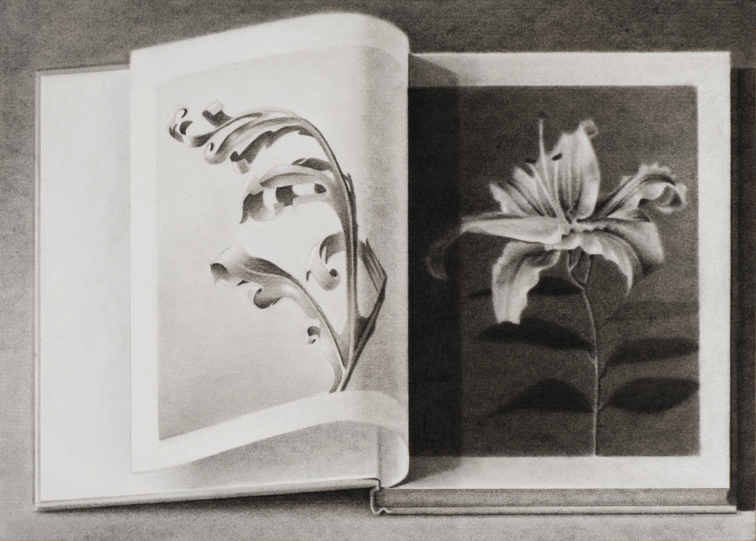 8. Katarzyna Pacholik_The mistake is in trying to understand 30x42cm Powdered charcoal on paper.jpg