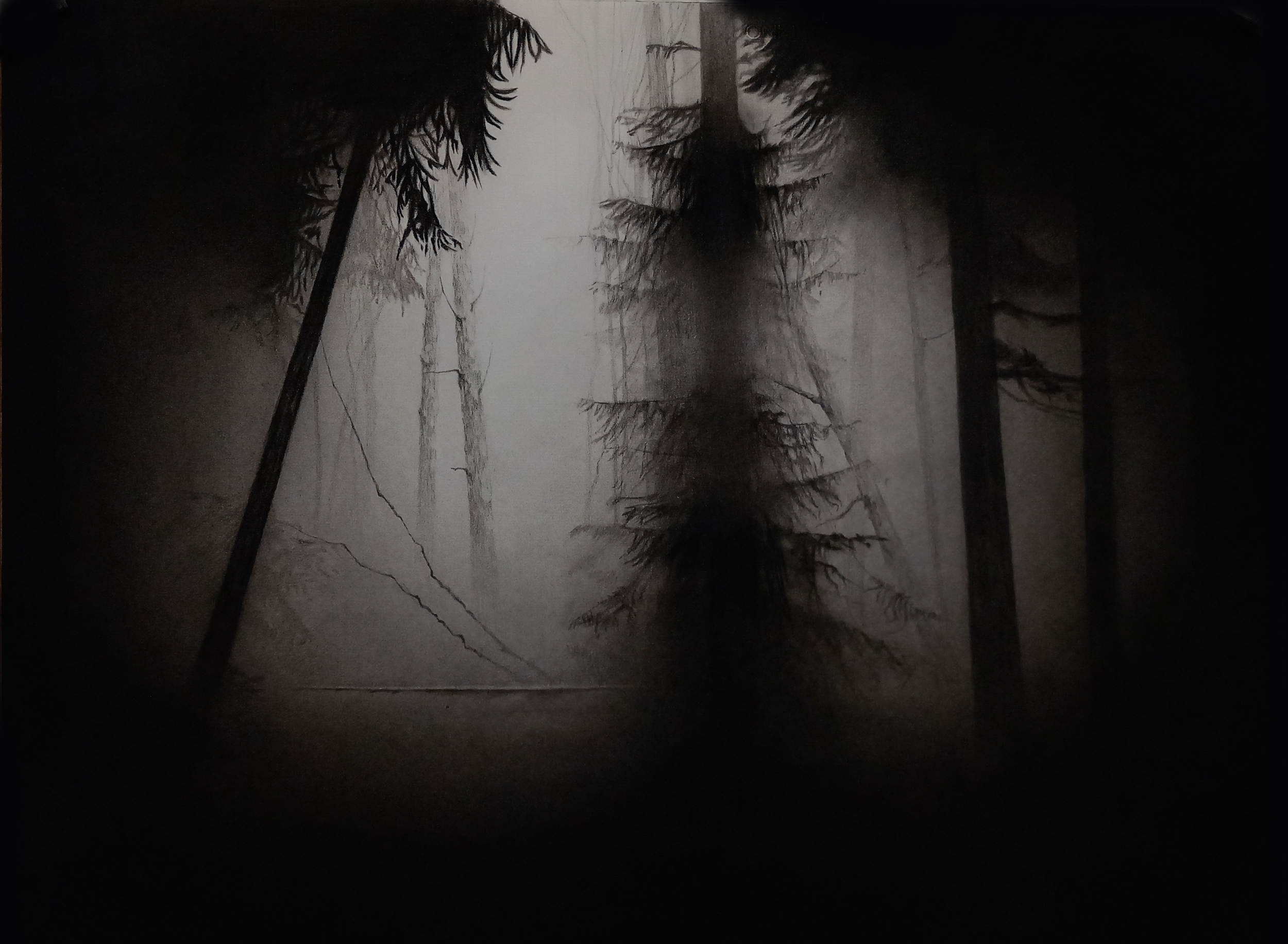 Carbón sobre papel, 90x60cm.png