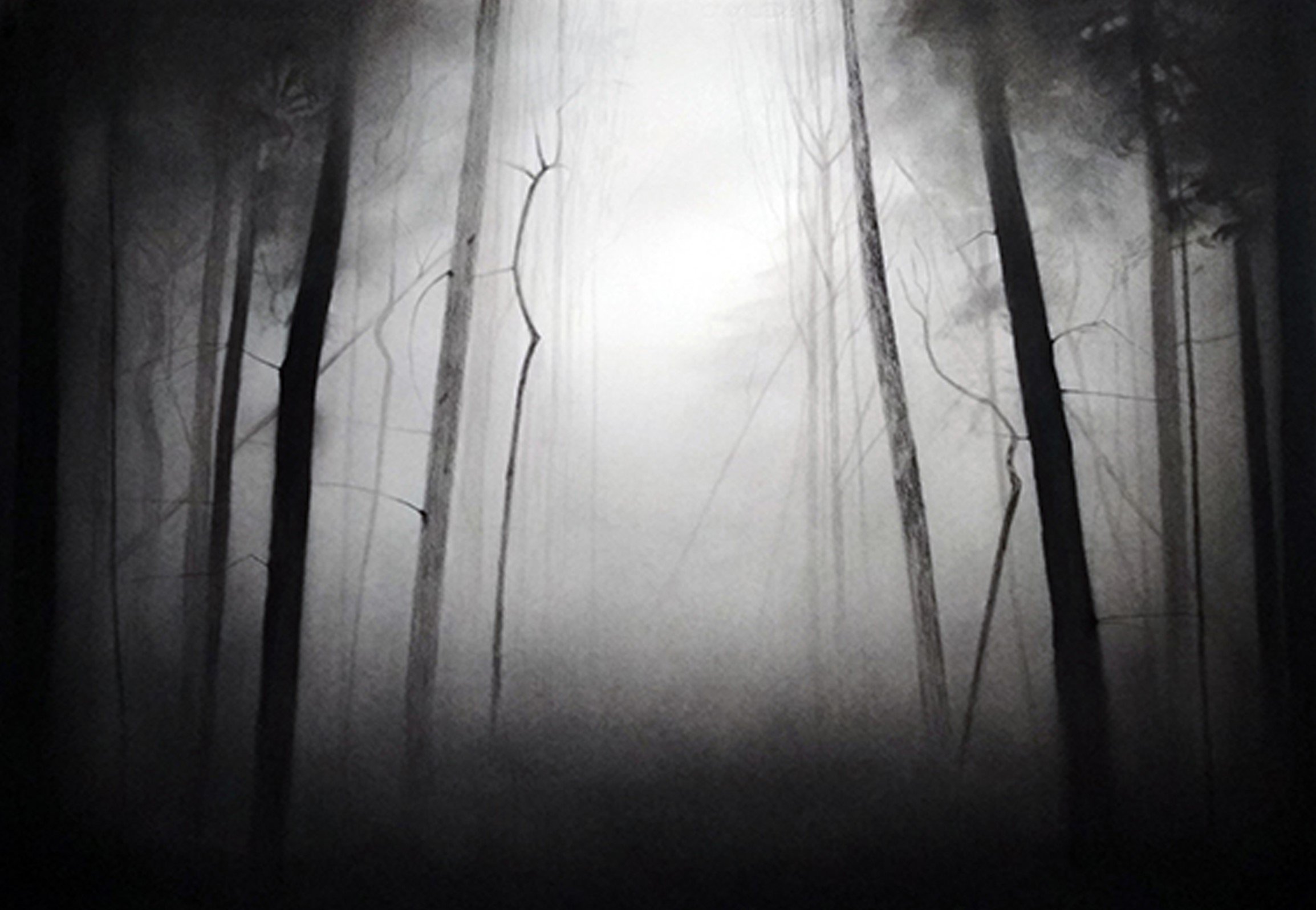 Untitled-1.jpg