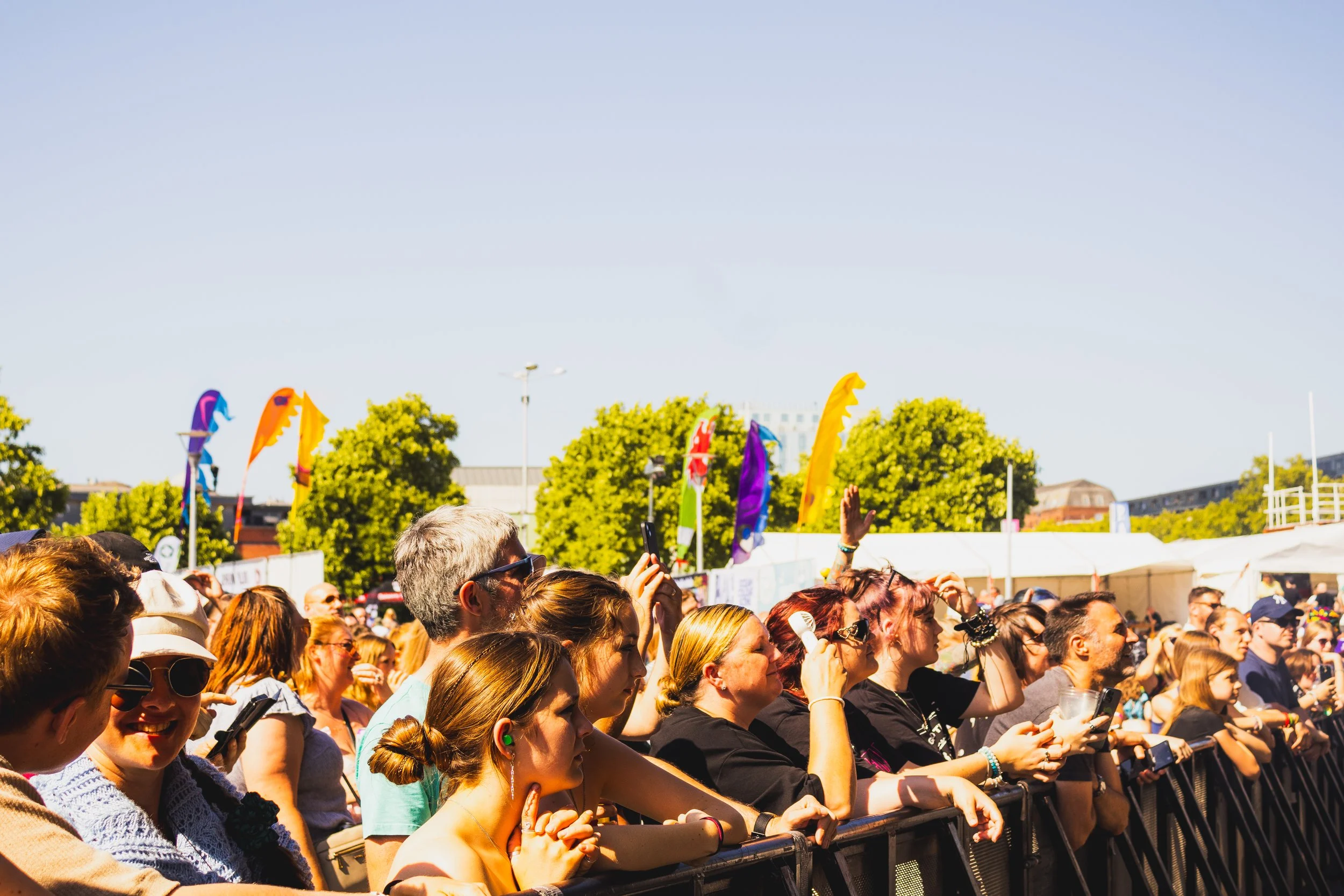 The Fratellis Crowd_Misc_BristolSounds-04.jpg