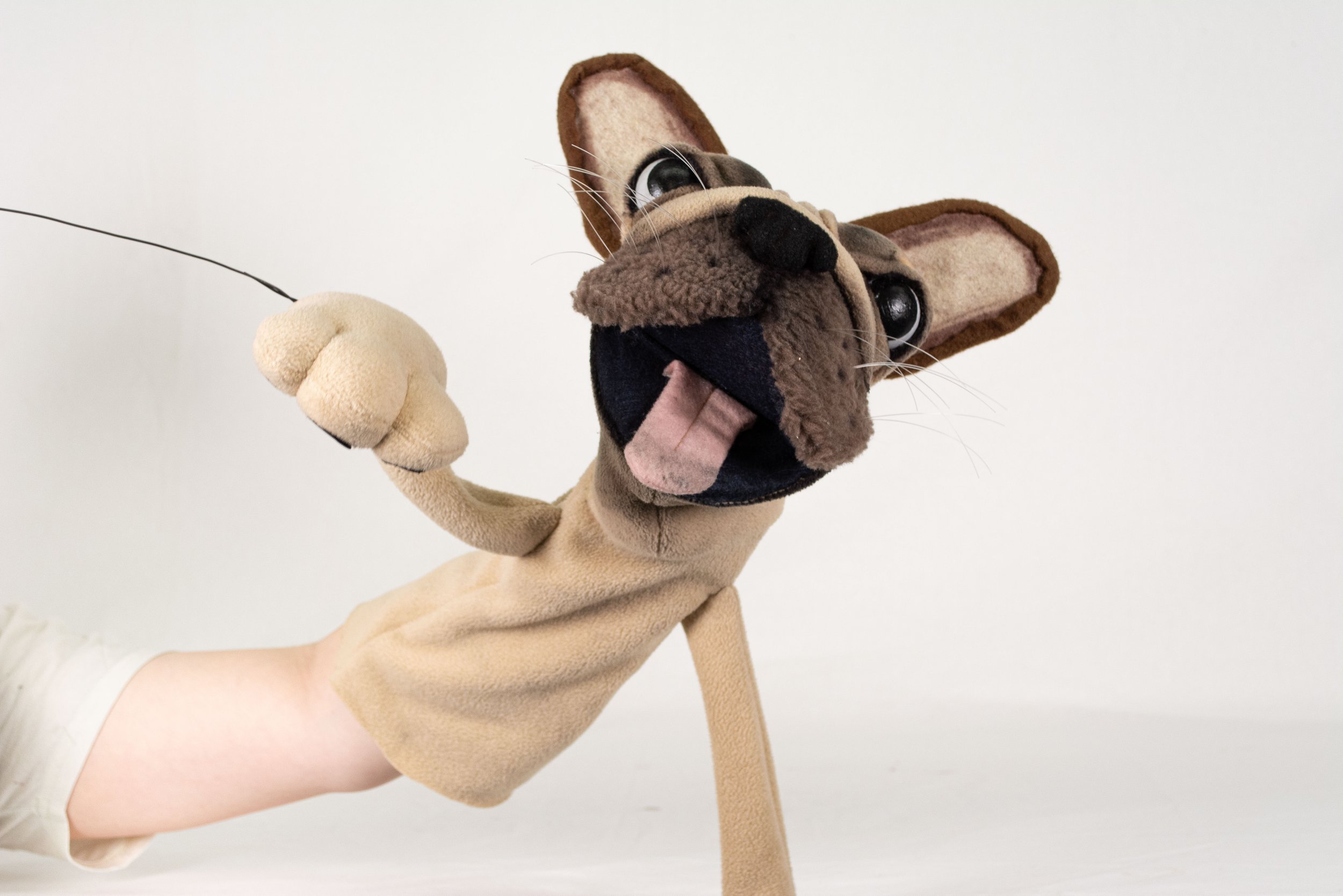 Garbly the Frenchie