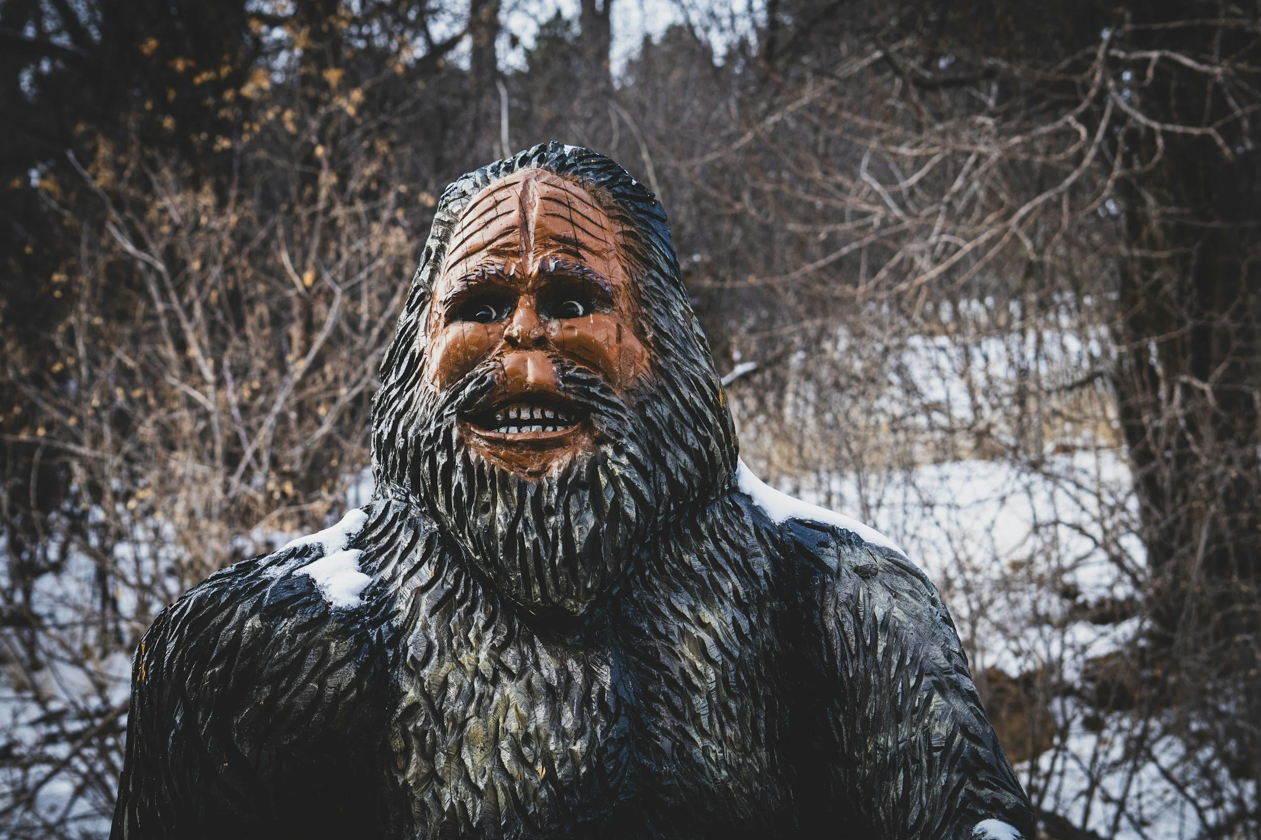 Bigfoot and Female Sexuality: One Is a Mystery—The Other Doesn’t Have to Be 👀