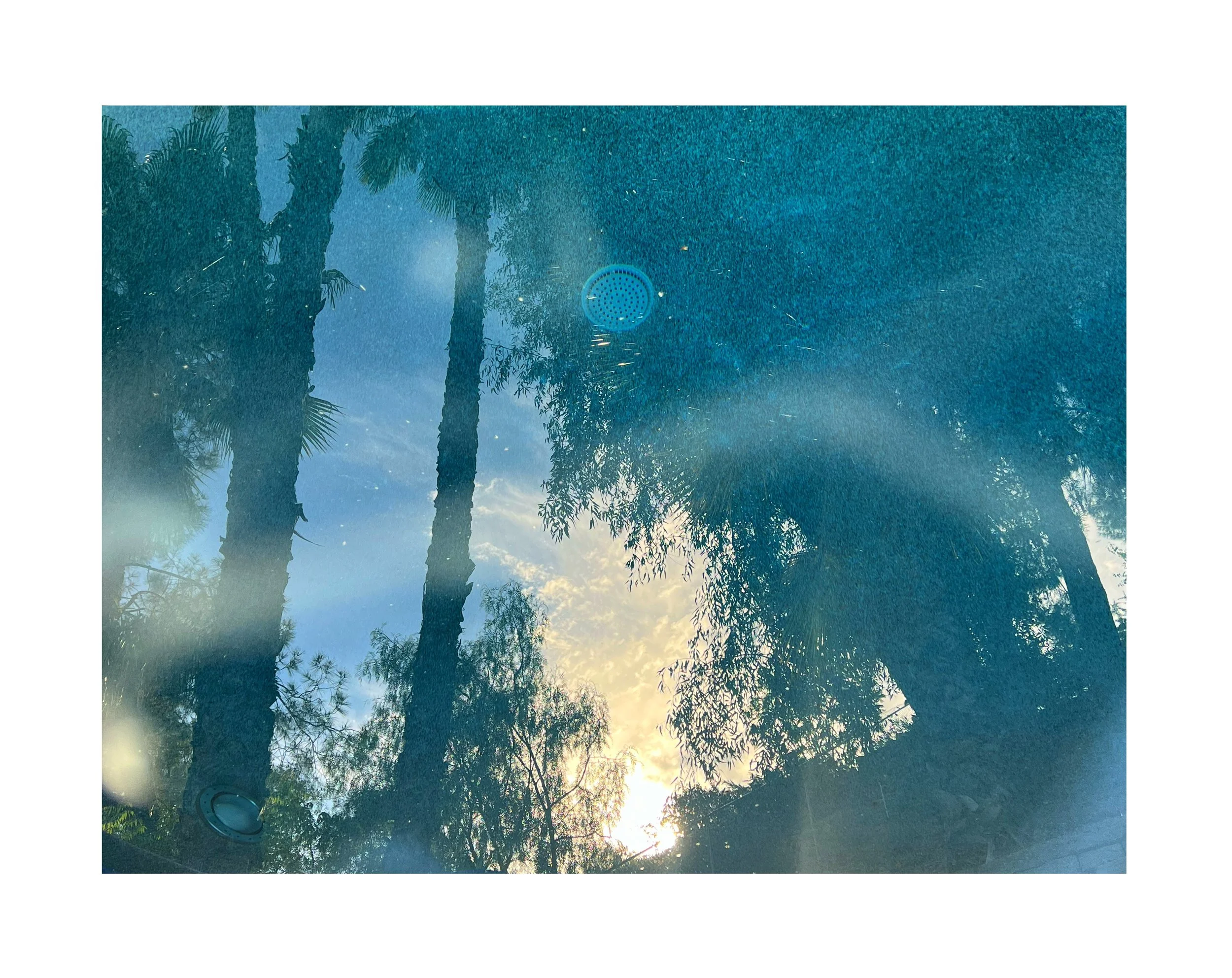 Reflet de la forêt et du ciel dans l'eau, avec des rayons de soleil et des discs bleus flottant à la surface.