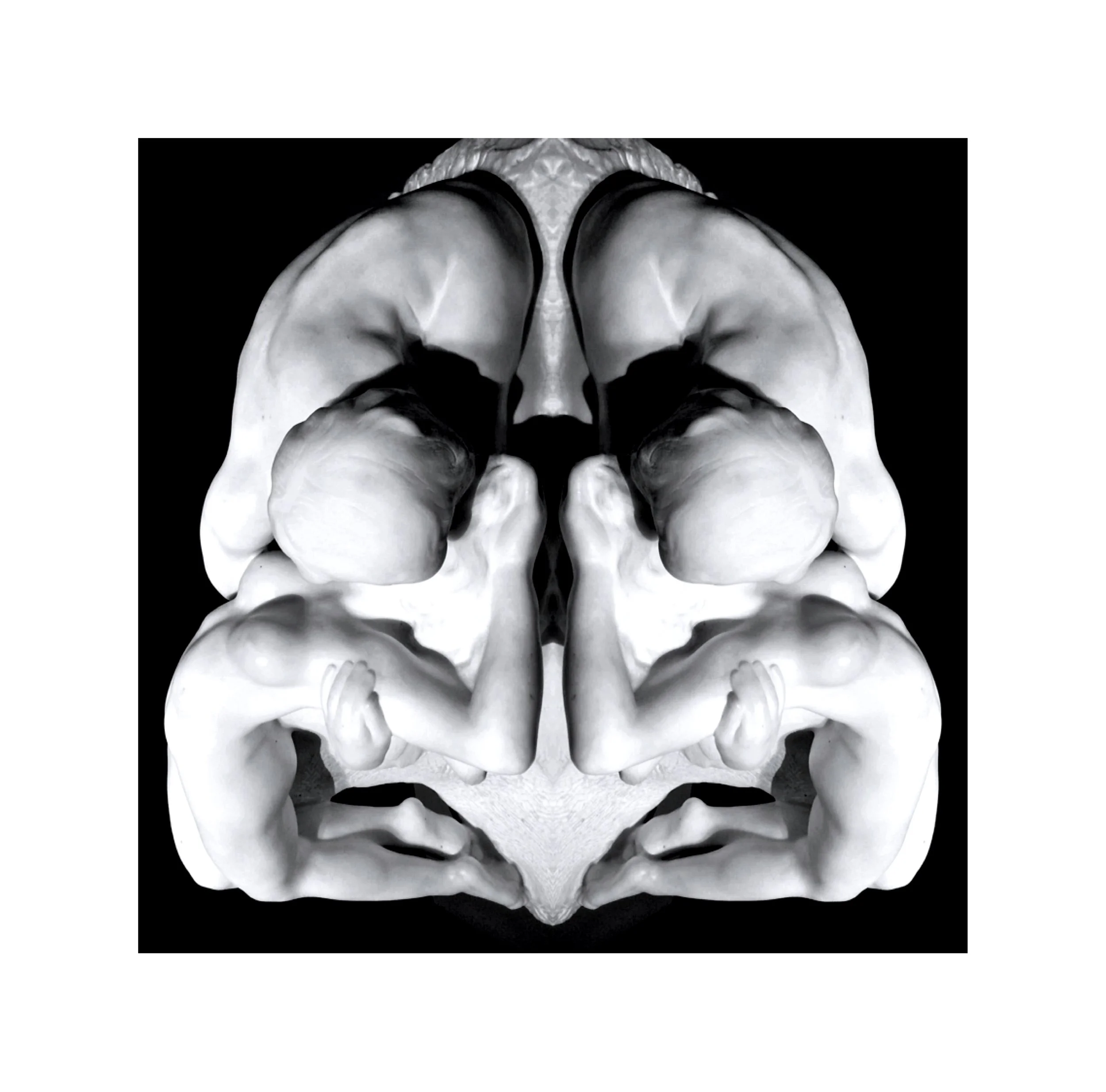 Image symétrique de sculptures de corps de bébé en blanc et noir, créant un motif abstrait et artistique.