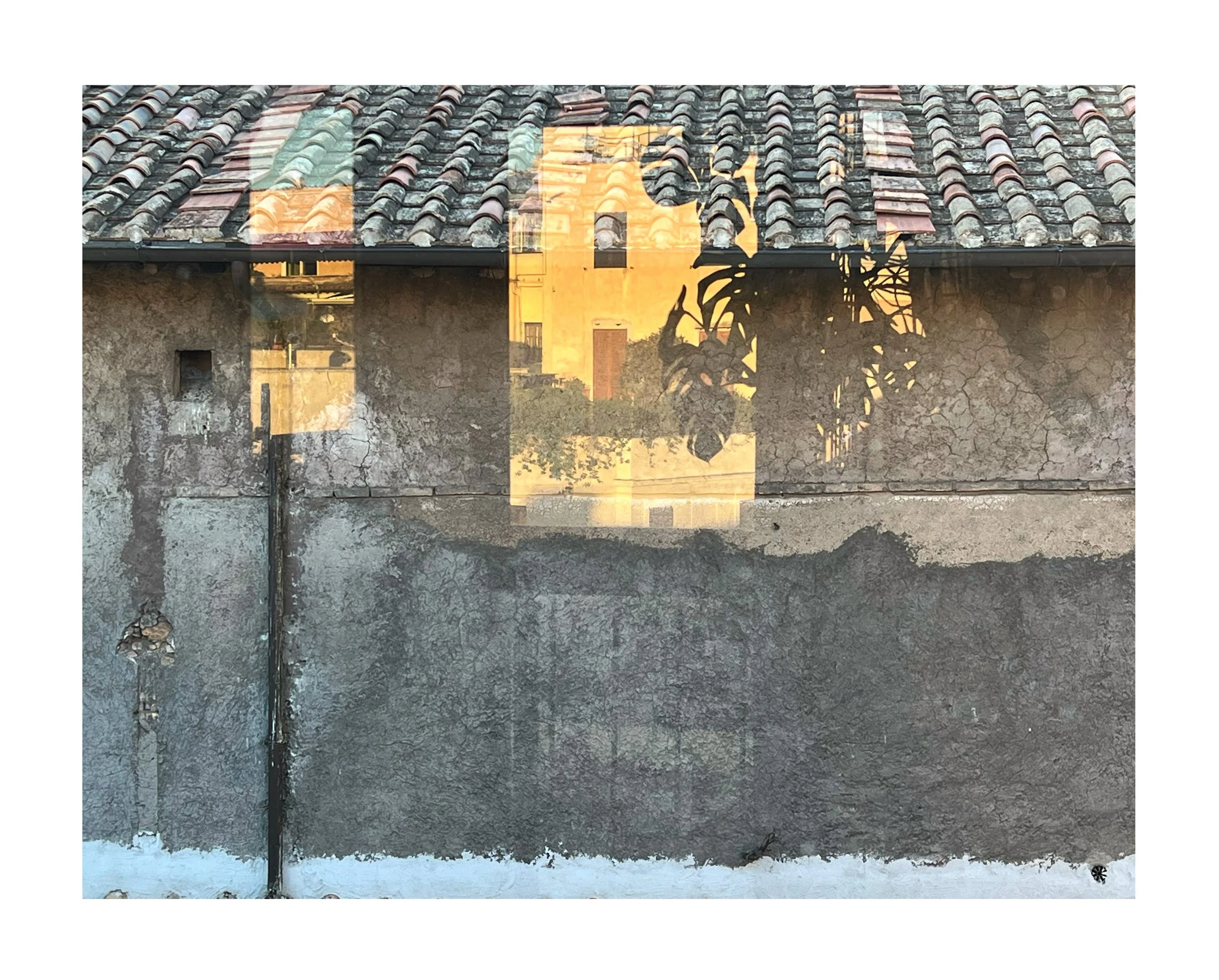 Reflet d'un bâtiment et d'une plante dans une vitre ou une fenêtre avec un mur en bas