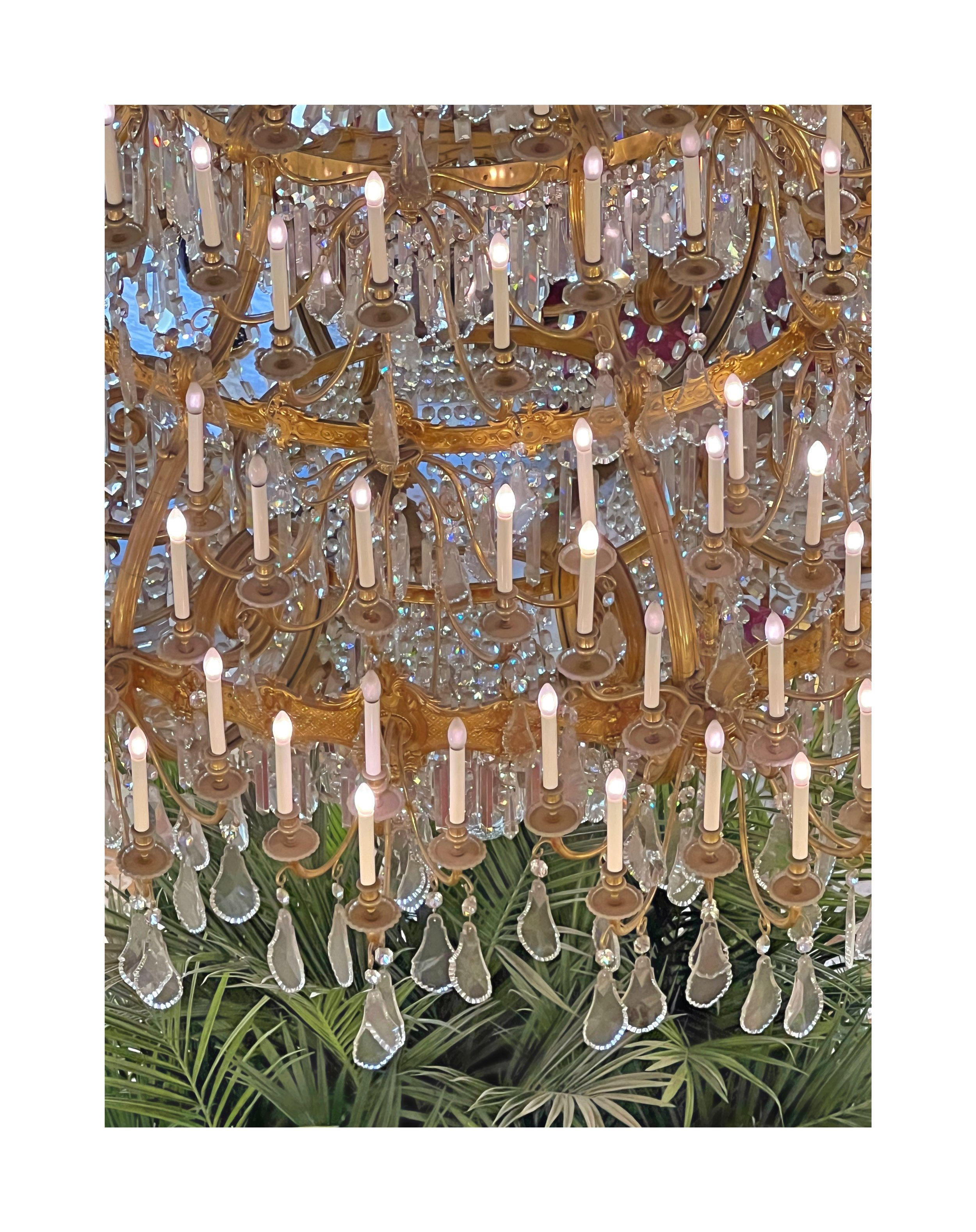 Un grand chandelier orné de cristaux suspendus et de bougies lumineuses, situé dans un endroit décoré avec des plantes vertes.