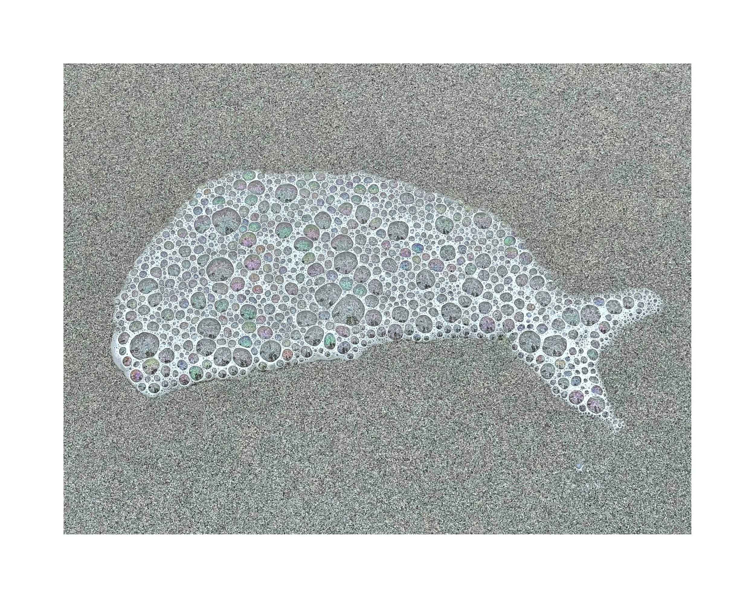 Dessin de poisson formé par des bulles de savon sur du sable