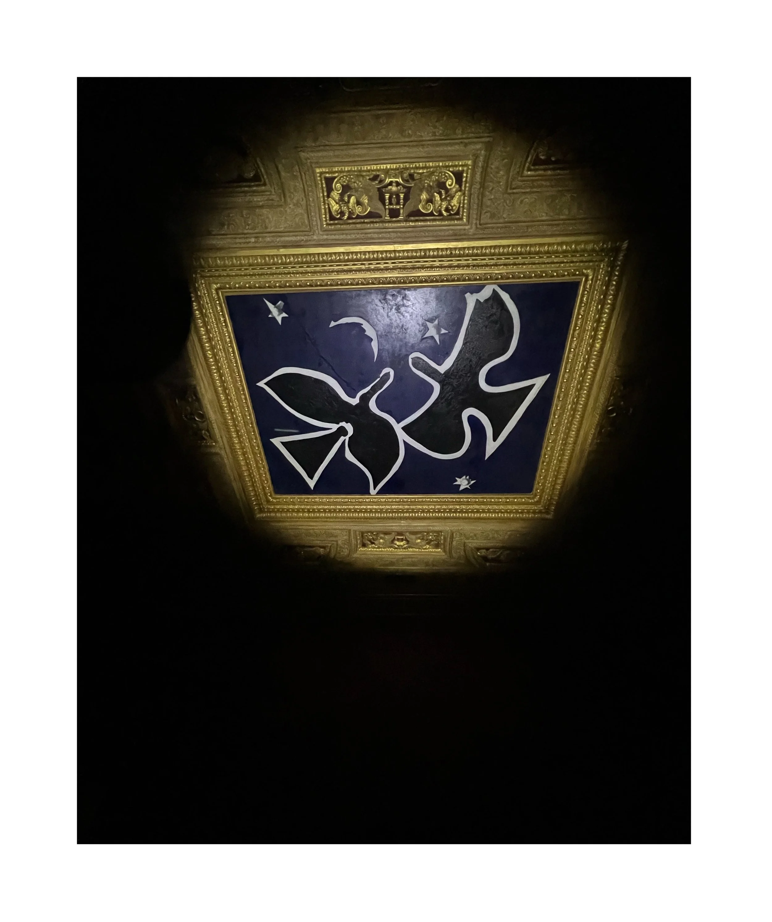 Peinture abstraite représentant deux oiseaux, avec un fond bleu foncé, dans un cadre doré orné, vue du plafond d'une salle.