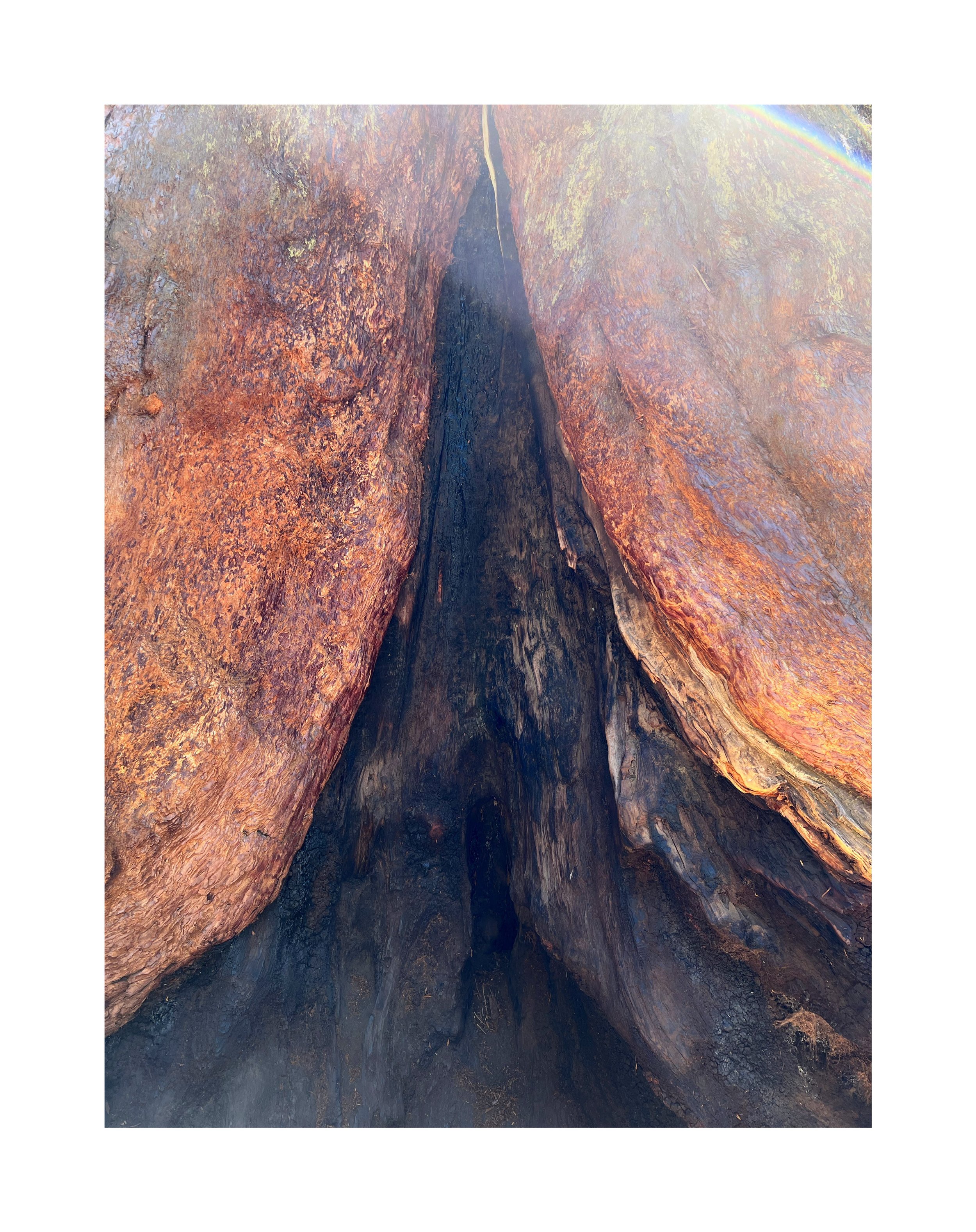 Une roche volcanique rouge-orange avec une fissure sombre au centre.