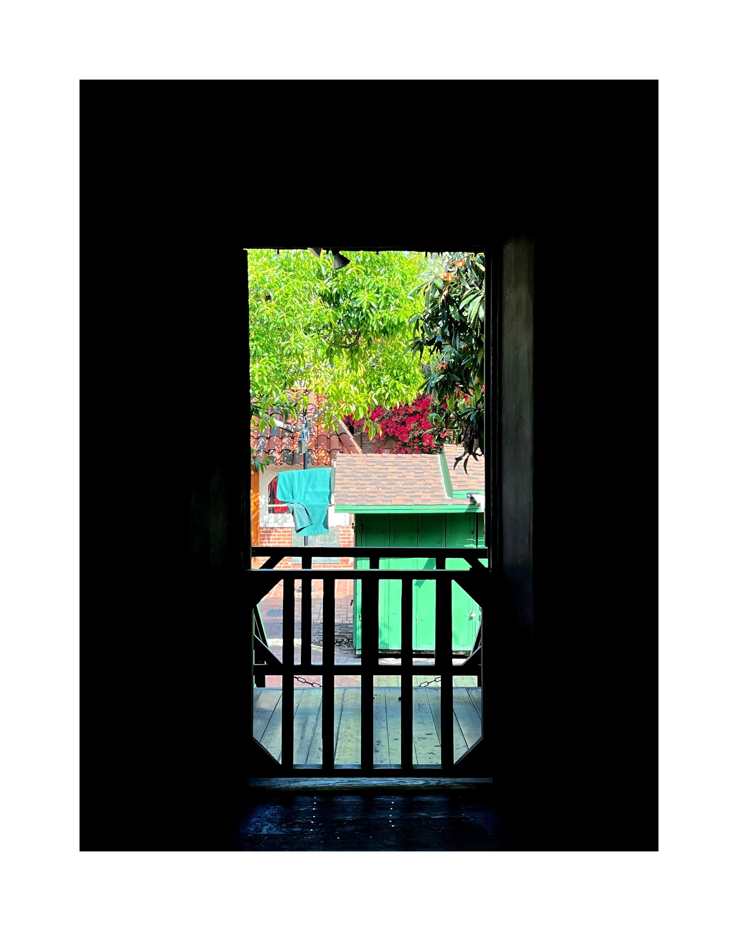 Vue d'une fenêtre donnant sur un jardin avec arbres et plantes, vue partielle d'un bâtiment avec toit en tuiles et un bac à linge suspendu.