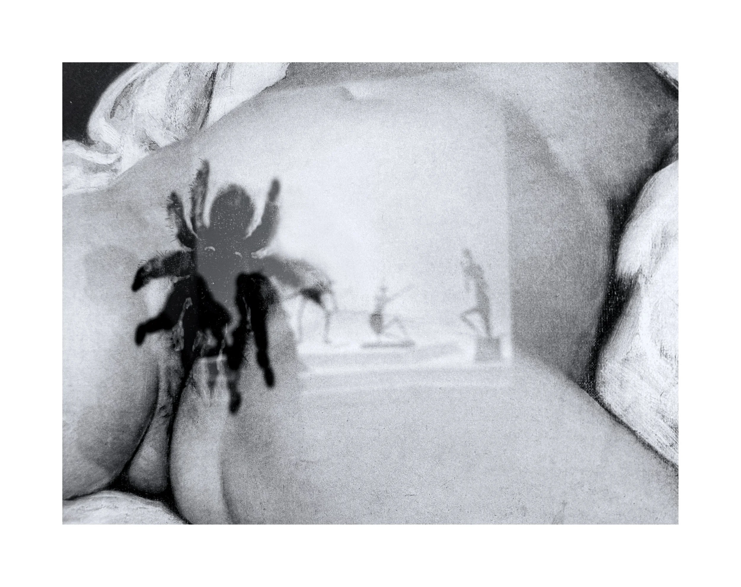 Une main tenant une photo en noir et blanc représentant une araignée et une scène avec des figurines en arrière-plan.