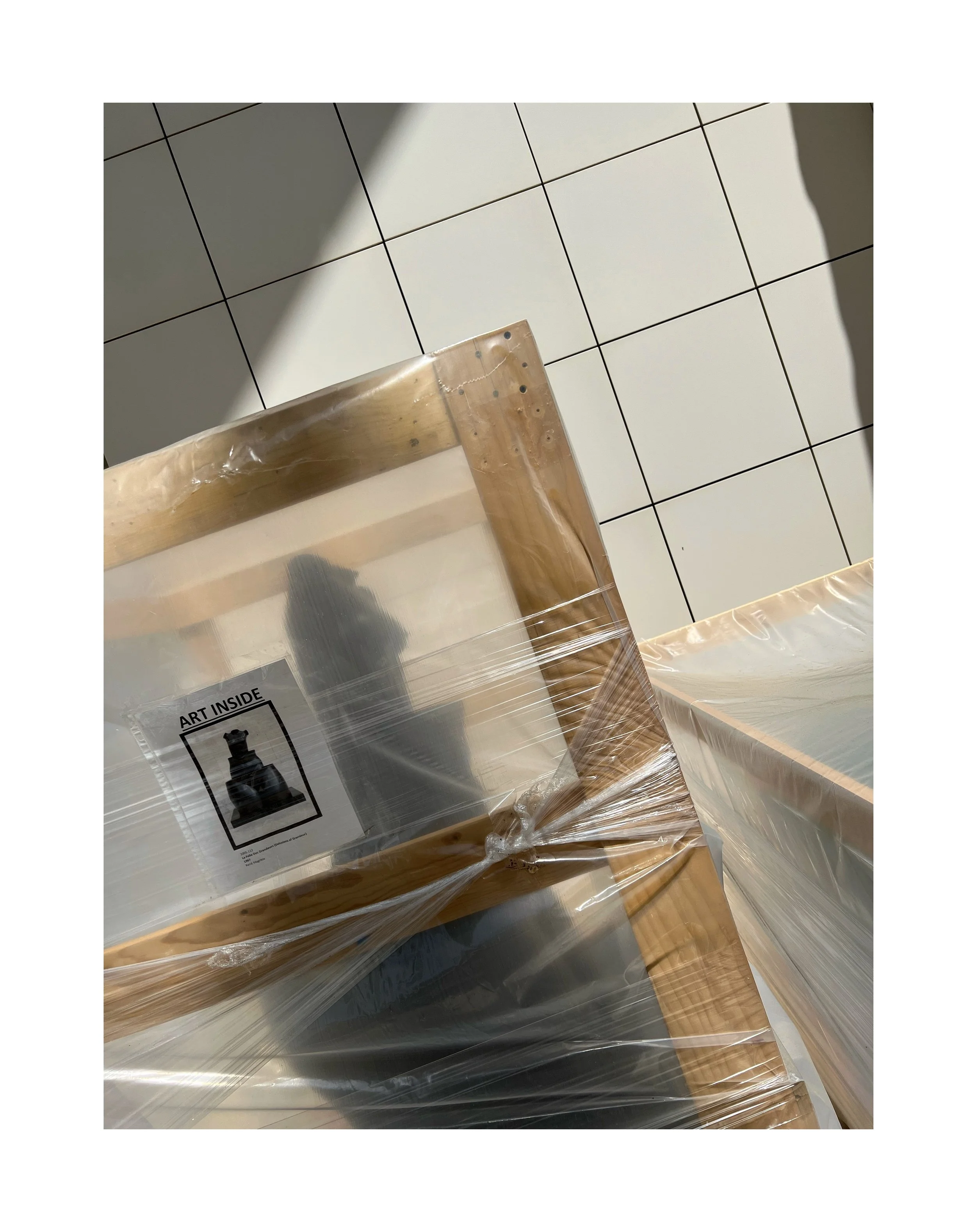 Deux emballages en plastique contenant des objets, placés sur une surface en carrelage blanc. L'un d'eux a une étiquette avec une image d'une pièce d'échec.