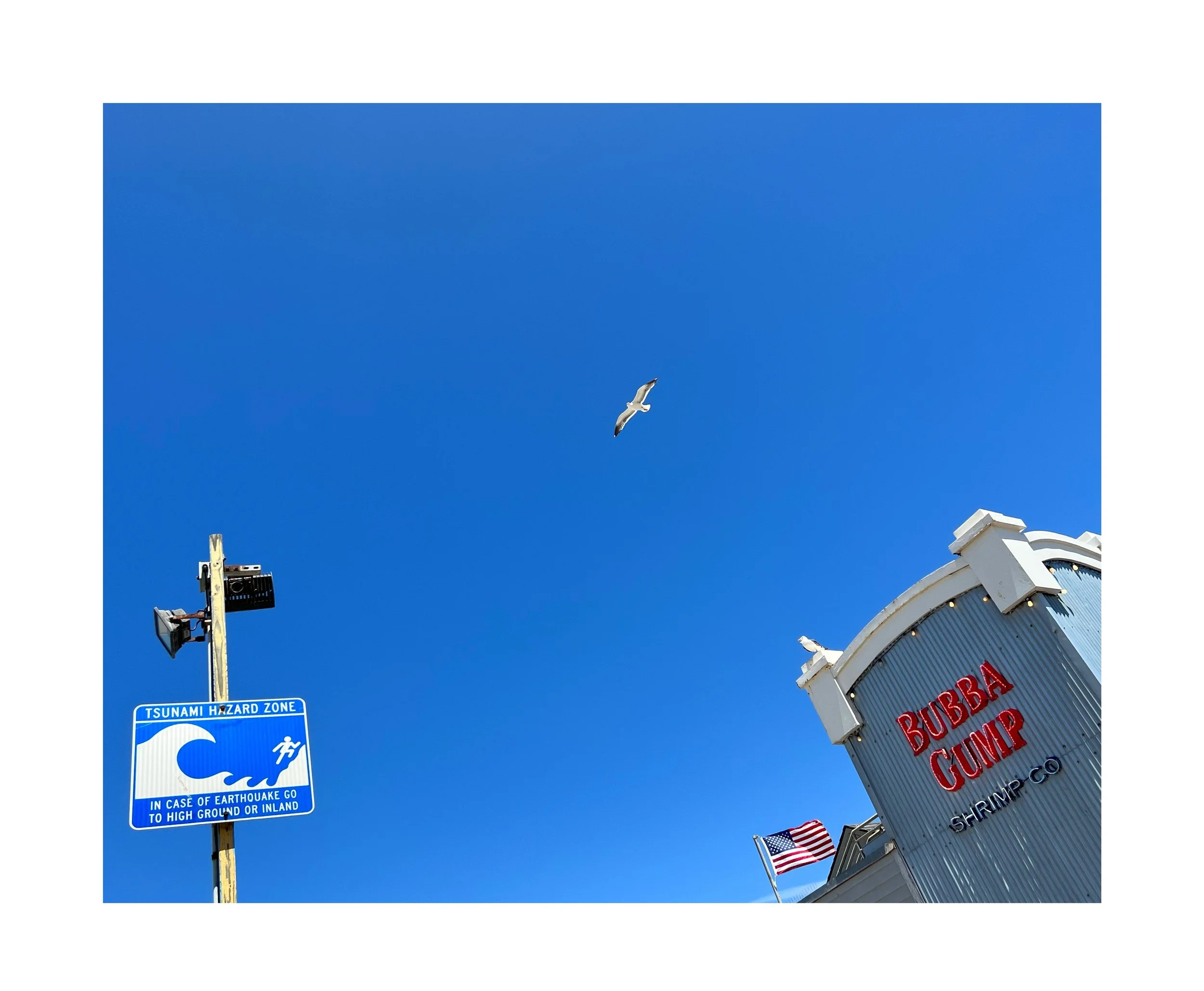 Un ciel bleu avec un oiseau en vol, un panneau d'avertissement de tsunami, une enseigne 'Bubba Gump', et un drapeau américain.