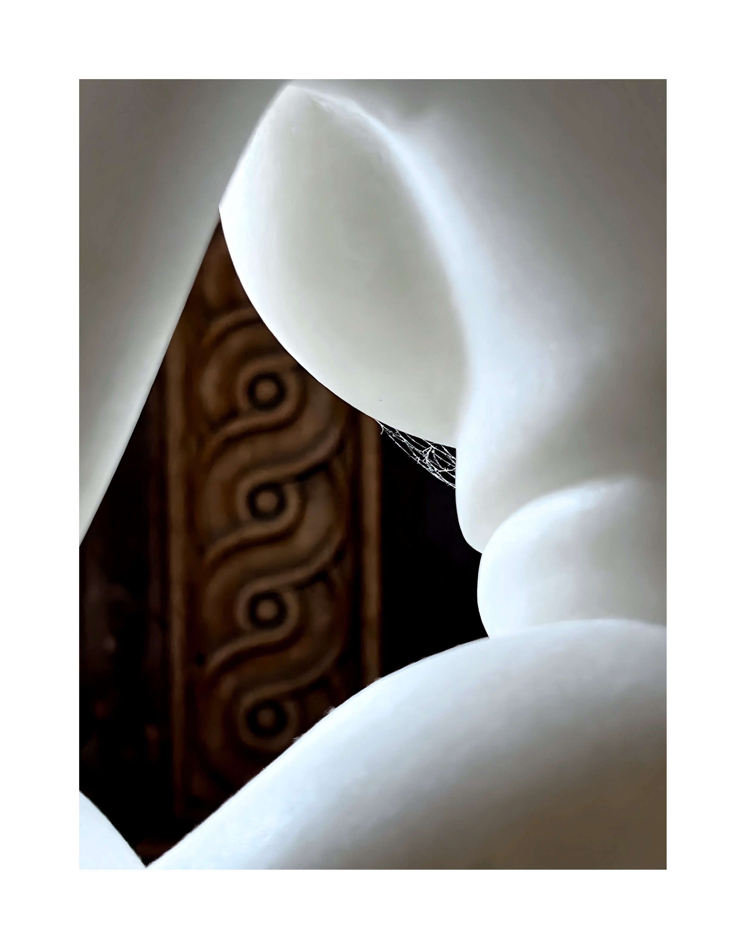 Une sculpture blanche représentant une tête humaine vue de profil, avec un fond en bois décoratif.