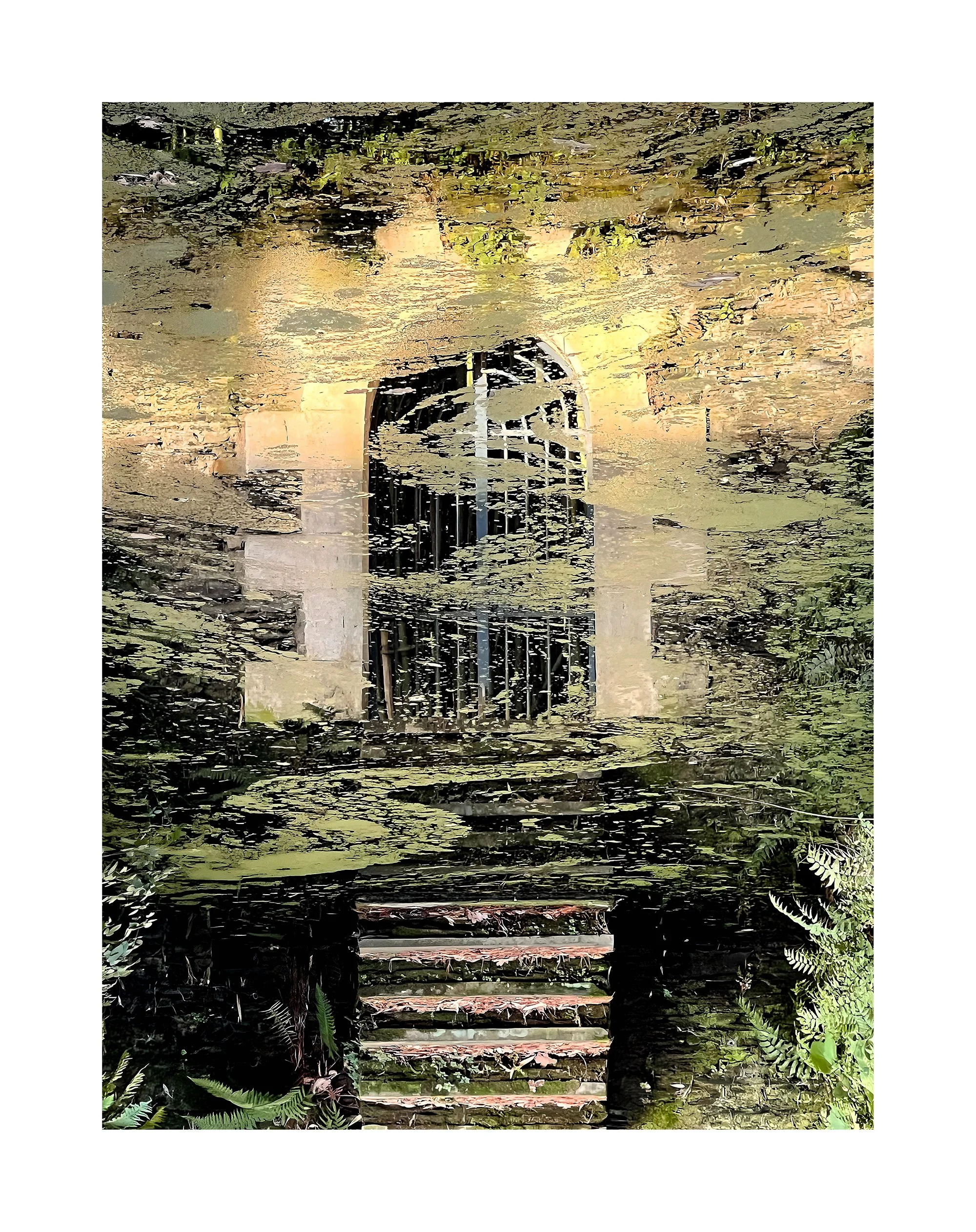 Reflet d'une fenêtre arquée et d'un escalier dans un miroir d'eau entouré de végétation.