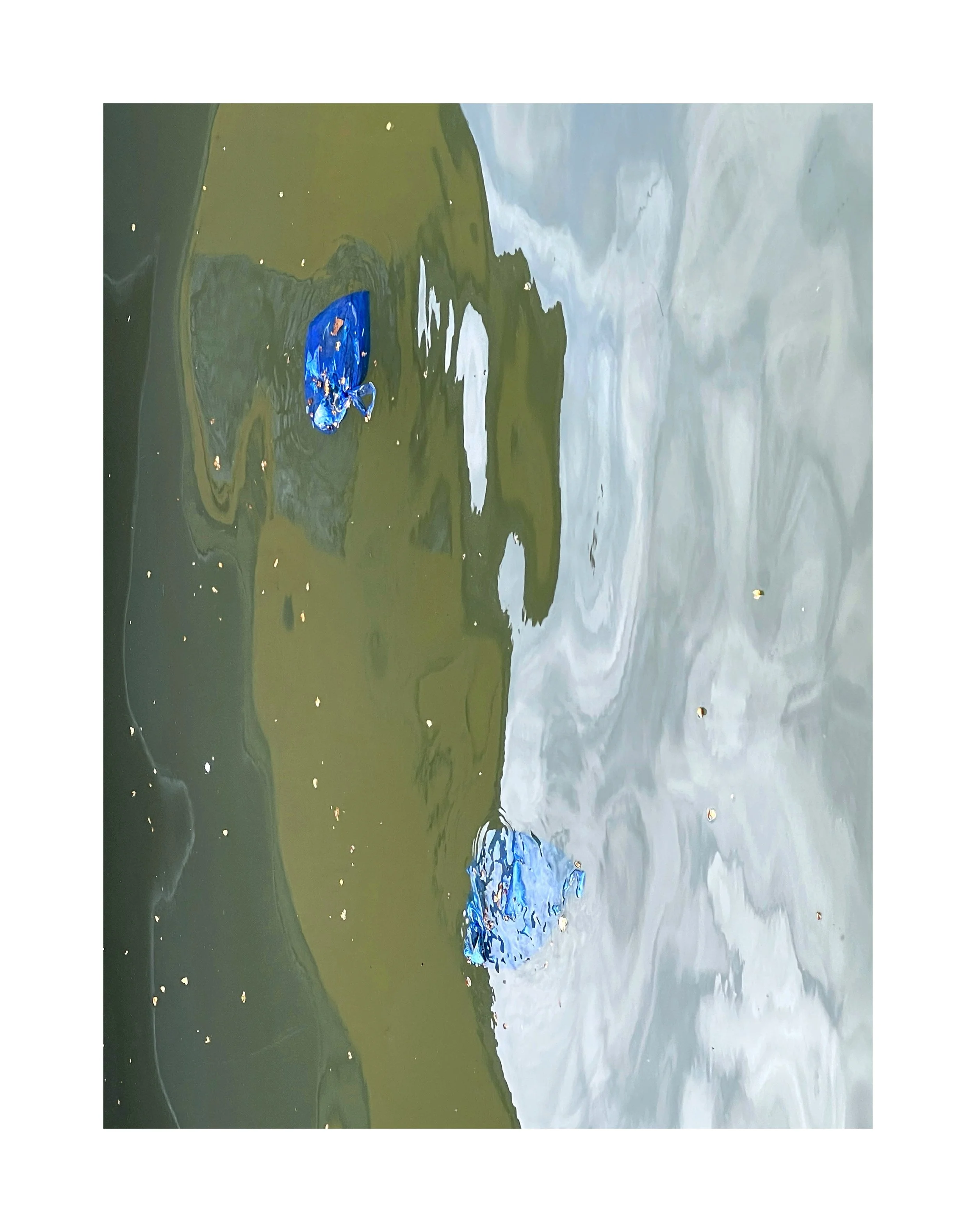 L'eau sale avec des morceaux de plastique bleu flottant à la surface, avec une zone verte et une zone grise autour.