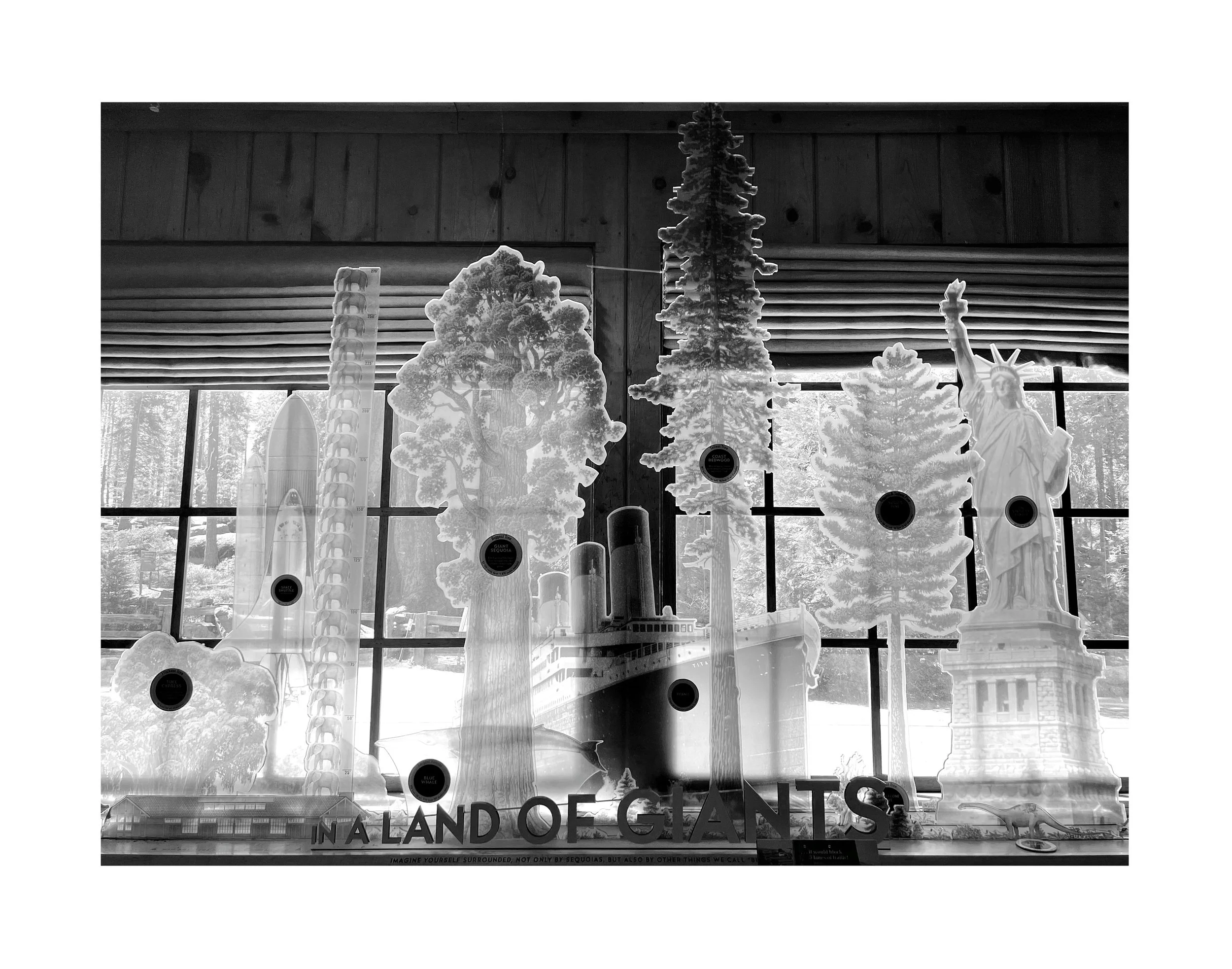 Une vitrine avec des modèles en plastique de géants et de paysages, incluant des arbres et la Statue de la Liberté, avec un panneau en dessous. La scène est vue à travers une fenêtre avec une vue extérieure d'arbres.