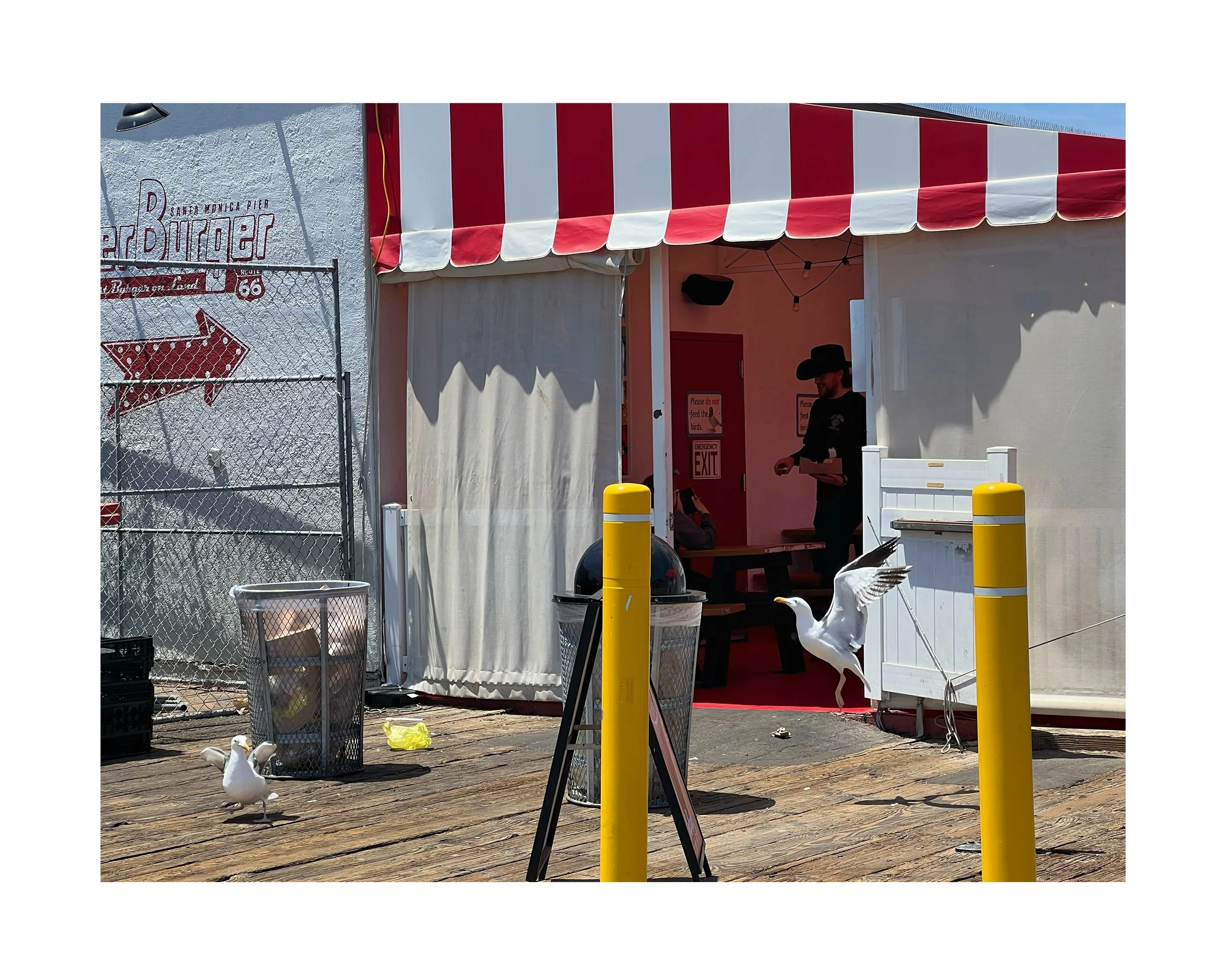 Deux mouettes debout sur un pont en bois devant une sortie de restaurant avec une enseigne rouge et blanche, une poubelle en métal, et un homme portant un chapeau noir à l'intérieur.