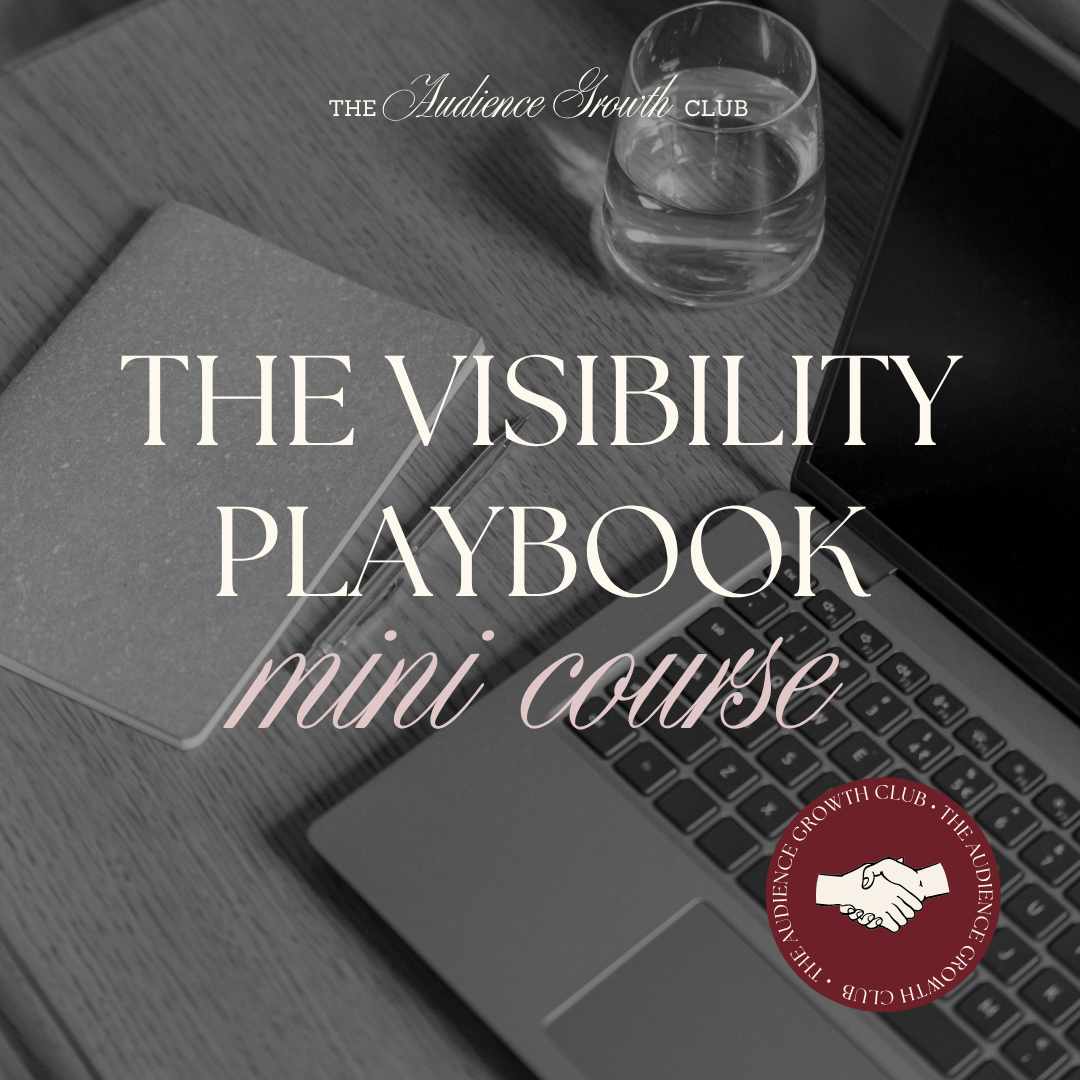 The Visibility Playbook Mini Course ($97 value) (Copy)