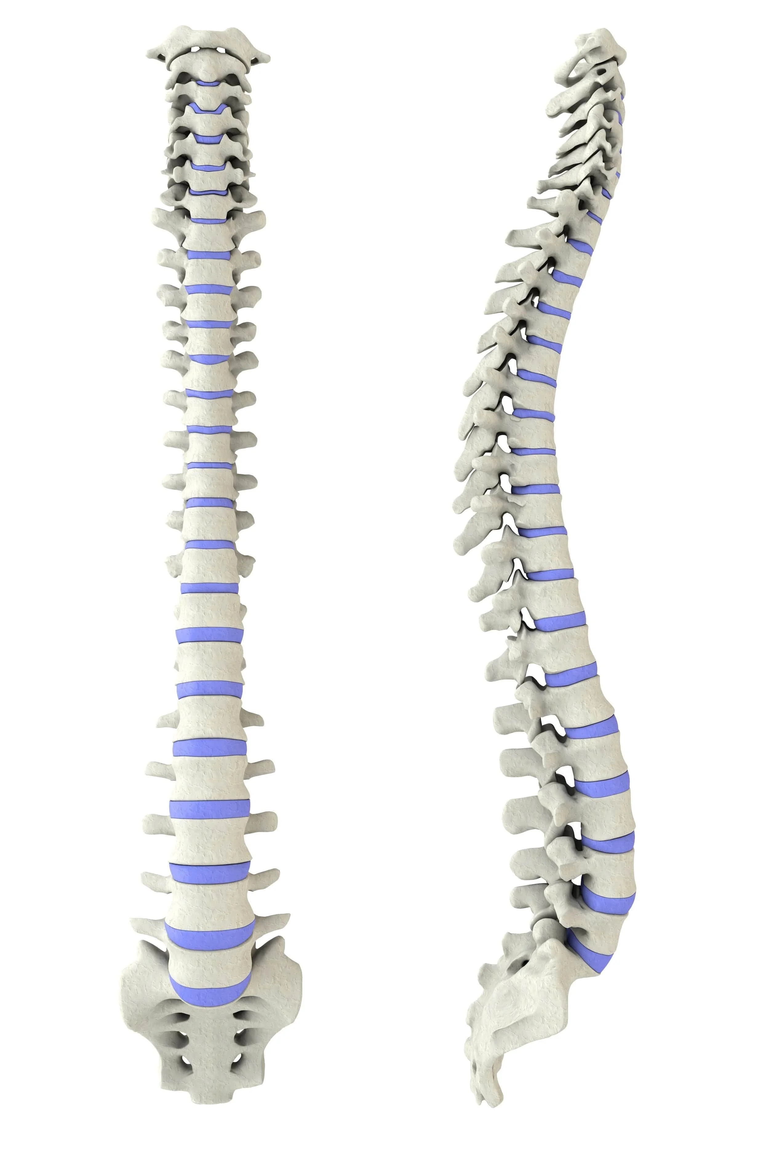 COLUNVA VERTEBRAL (AP e PERFIL)