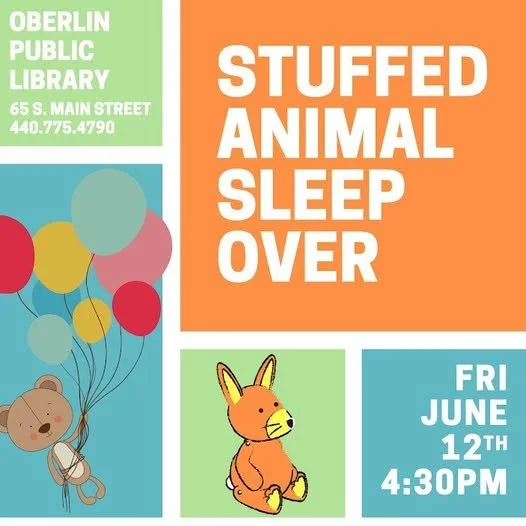 Stuffed Animal Sleepover at the OPL