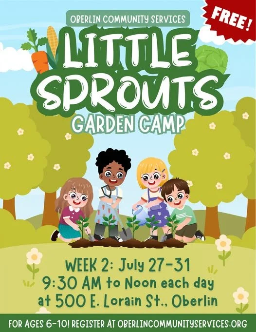 Little Sprouts Summer Camp
