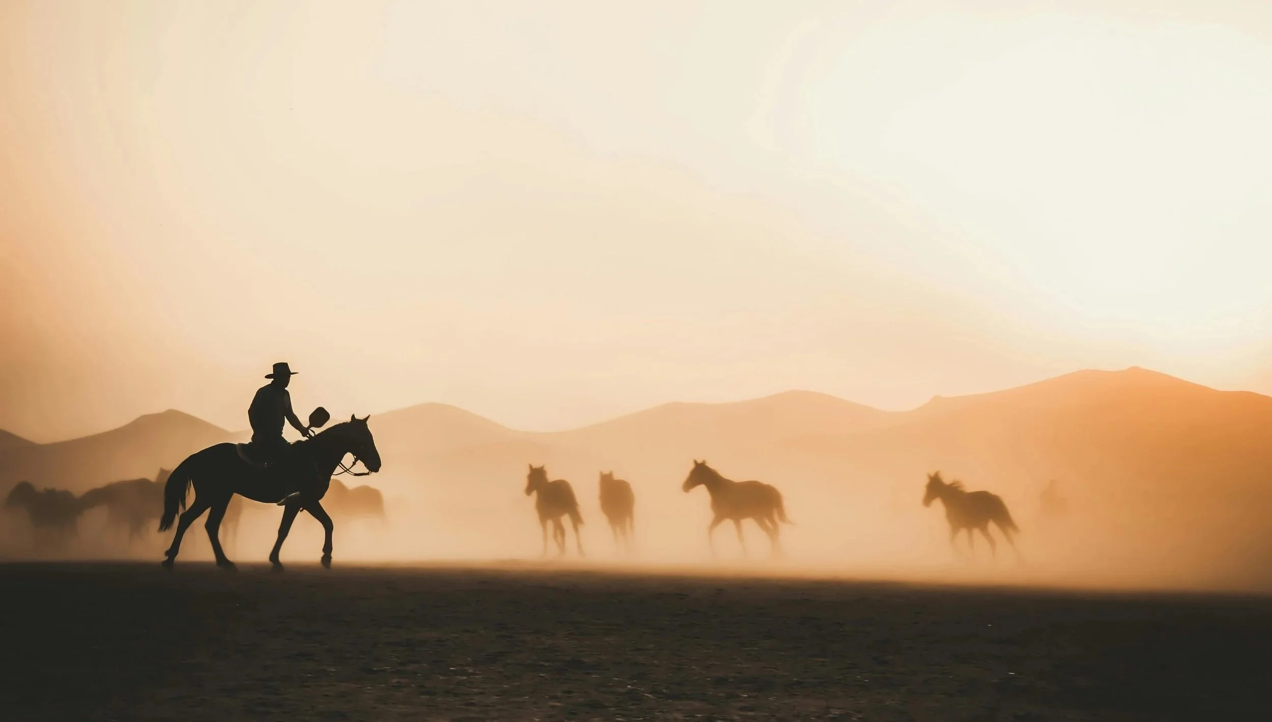 onecowboywithpaddle.jpg