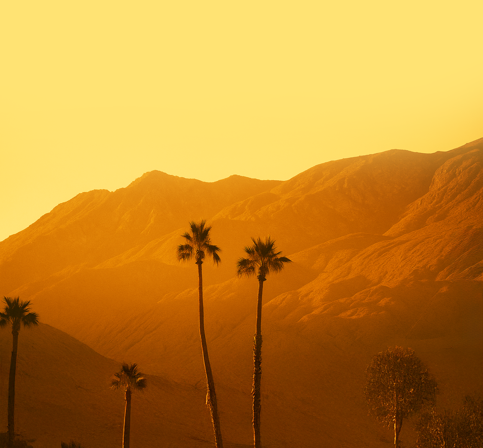 2 Person Coaching Session - 1 Hour (Paid at Once)